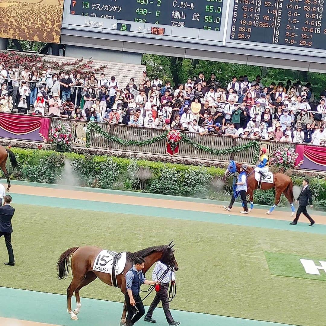 清水まり子さんのインスタグラム写真 - (清水まり子Instagram)「人生お初で馬券を買った🐴🎫安田記念100周年㊗️🏇 地鳴りがして美しい馬も人も集いエネルギッシュな空間だった🎠 #jra #安田記念  #府中競馬場  #ありがとう  #人生お初  #馬券  #wellbeeing  #ソダシ  #ソングライン #ソングラインおめでとう #mariko  #thankyou」6月5日 10時43分 - mariko1205shimizu