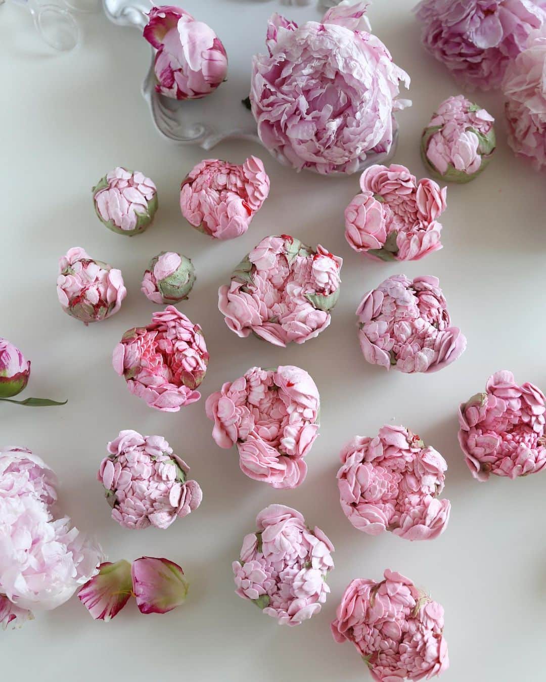 청담 수케이크 (atelier soo)のインスタグラム：「ㅡ 🩷 Italian meringue buttercream #flowercake #cake #peony #partycake」