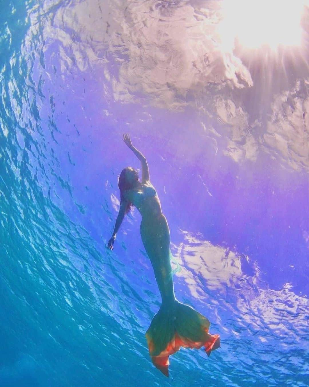 西原有紀さんのインスタグラム写真 - (西原有紀Instagram)「🧜‍♀️🐚🐢🌊  ✴︎ ✴︎ ✴︎  以前からSSIのマーメイド、オーシャンマーメイドのライセンスを持っており、ハワイに来たら、やはり海なので、 記念にマーメイドスイム撮って貰いました📷💫  ✴︎  自身のマーメイドセットも全て日本から持参していきました🧜‍♀️🐚  ✴︎  ウミガメちゃんとも遭遇🐢  可愛かった💕  ✴︎  今週6月9日に公開の実写映画 『リトル・マーメイド🧜‍♀️』 今からドキドキ💓ワクワク💓なんですけど〜🙈💕 ✴︎ ✴︎ ✴︎  Thank you‼︎ @aloha_istyle  Akira📷  ✴︎ ✴︎ ✴︎  #マーメイド #マーメイドスイム #マーメイドポーズ #スイム #mermaid #thelittlemermaid #Disney #リトルマーメイド #sea #partofyourworld #blue #blueocean #seaturtle #海 #ダイビング #フリーダイビング #SSI #テイル #シェル #貝殻 #shell」6月5日 20時17分 - u_ki0211