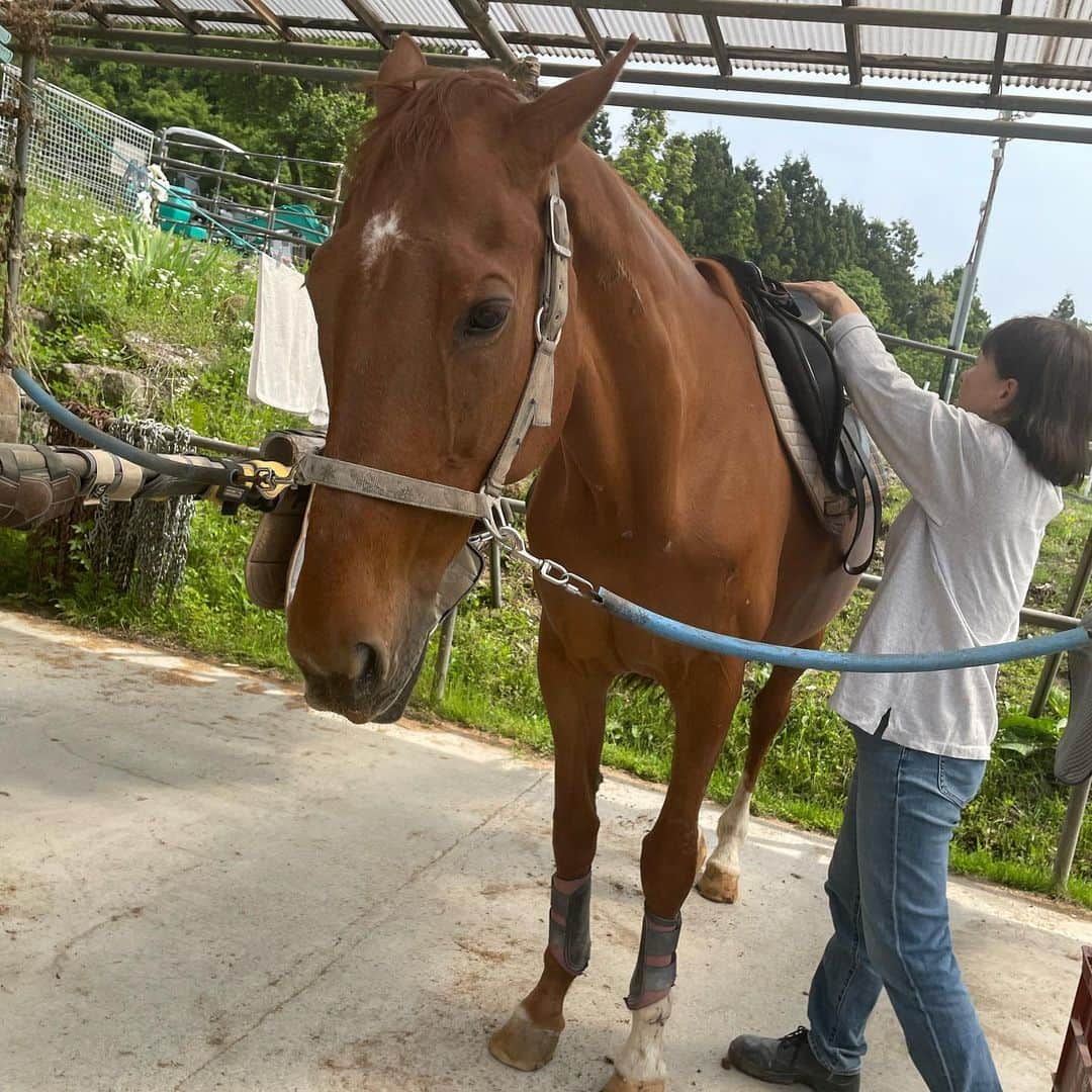 原奈津子さんのインスタグラム写真 - (原奈津子Instagram)「🐎🐎⛰️⛰️🐎🐎」6月5日 20時41分 - haranatsuko0706