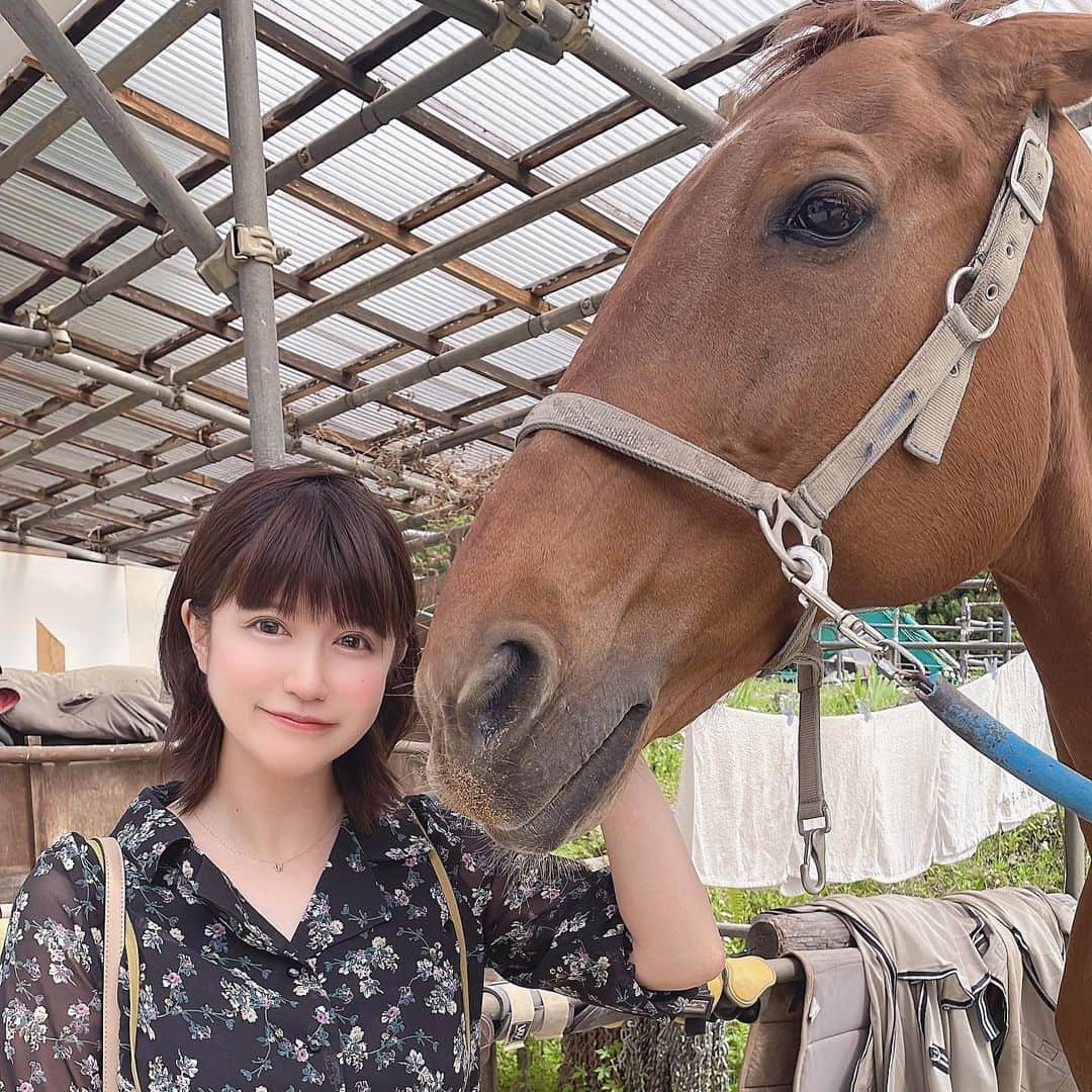 原奈津子さんのインスタグラム写真 - (原奈津子Instagram)「🐎🐎⛰️⛰️🐎🐎」6月5日 20時41分 - haranatsuko0706