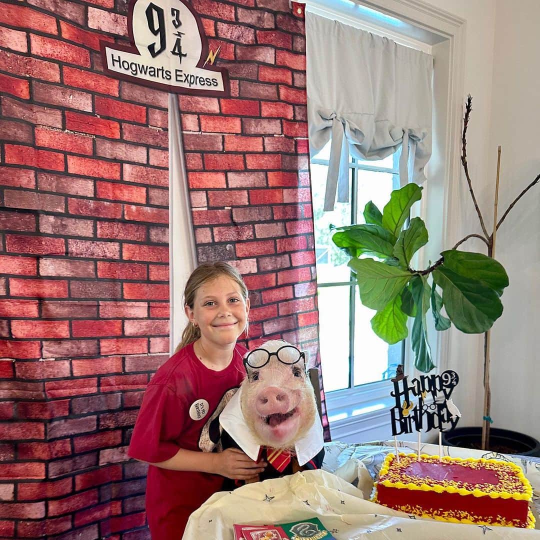 Priscilla and Poppletonさんのインスタグラム写真 - (Priscilla and PoppletonInstagram)「Where are our Harry Porker, I mean Harry Potter fans? We got to surprise one of our former first grade besties for her 9 3/4 birthday yesterday. Pop was Harry Porker, and we dressed up to represent the four houses of Hogwarts. We got cake and veggies from their garden and refrigerator, too. We had so much fun! Happy 9 3/4 Birthday Sophie! We love you and can’t wait to see you at piggy camp next week!🧹🧙‍♀️🐷🎉 #HarryPorker #HarryPotter #9and3quarters #hogwarts #piggypenn #poseyandpink #prissyandpop」6月5日 20時59分 - prissy_pig