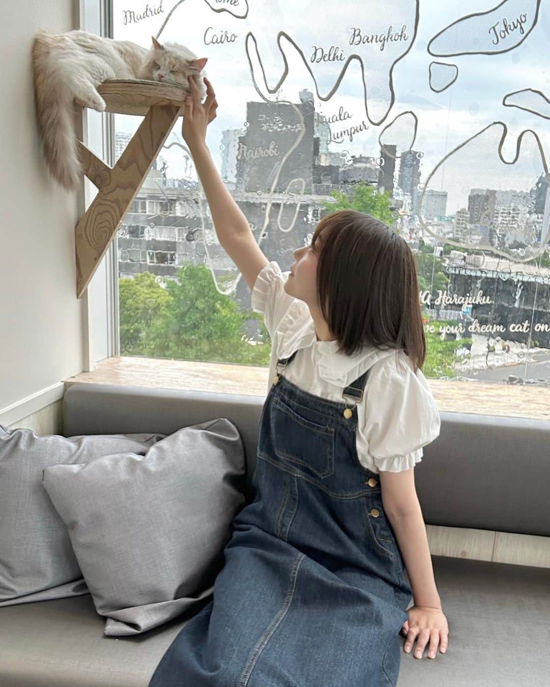 みさねしふくのグルメインスタ