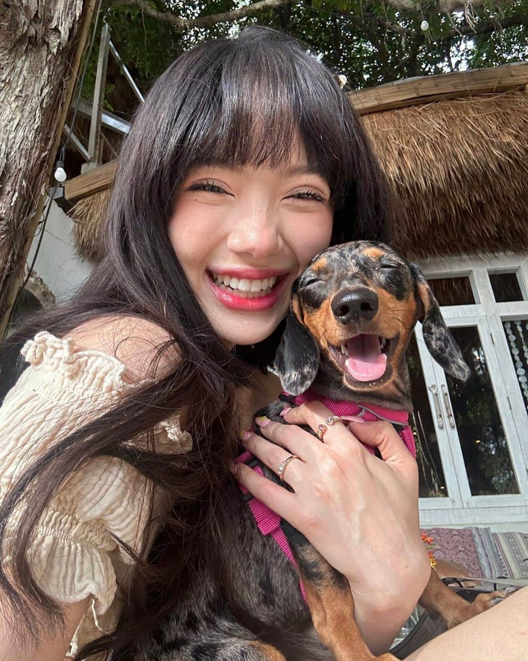 ヤンニーン・ワイゲルのインスタグラム：「โซล่ายิ้มหวานนนน🐶☀️」