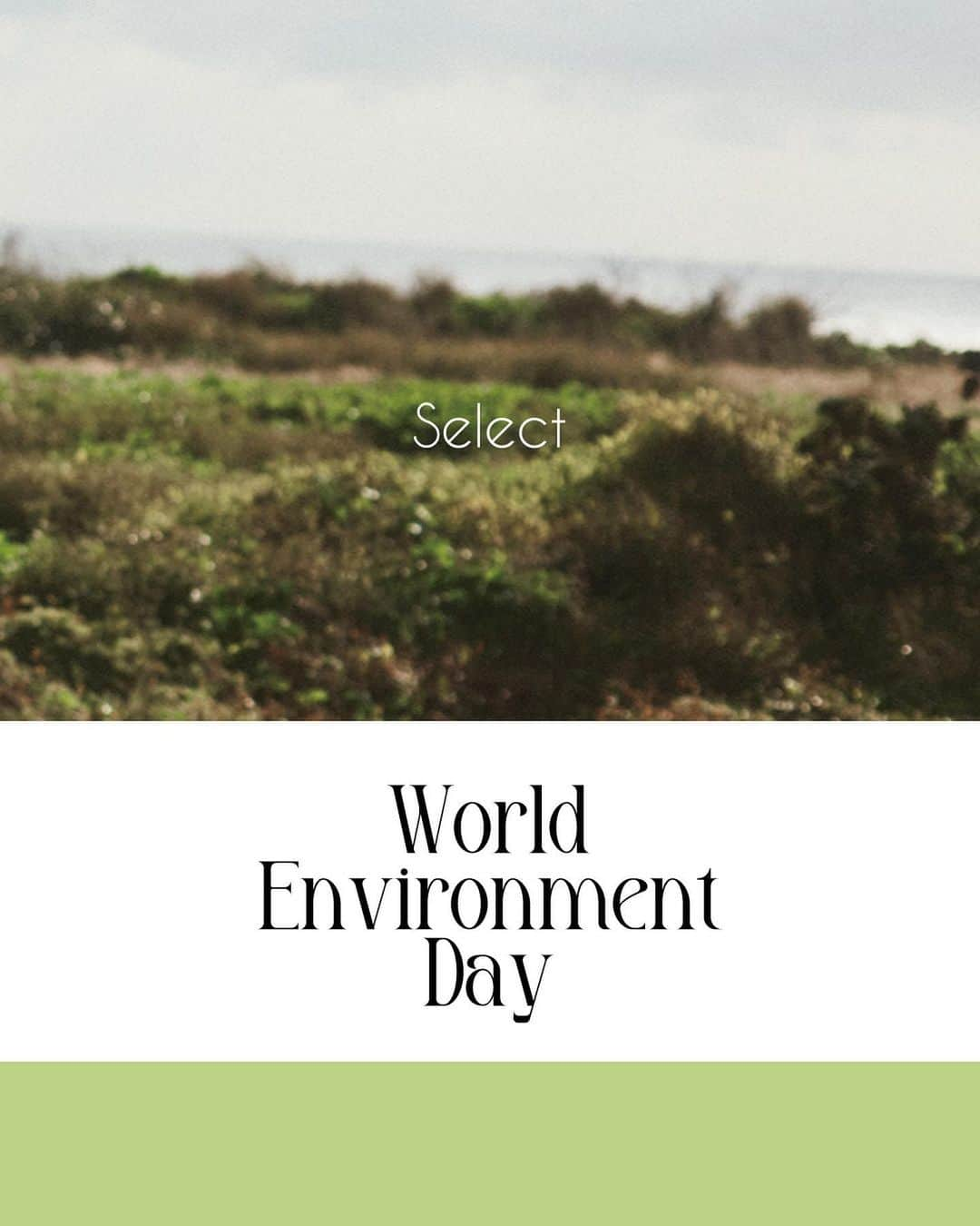 CASA FLINEさんのインスタグラム写真 - (CASA FLINEInstagram)「World Environment Day  6月5日は世界環境デー  2022のテーマは「 BeatPlasticPollution 」 "プラスチック汚染の解決策"  🌏  6月5日(月)よりCASA FLINE表参道本店、公式オンラインストアにてお買い物のお客様にバジルのエコポットをおくばりしています🌱  ポットは古紙100％の再生紙で出来ていて、使用した後にそのまま土に埋めておくと、年月をかけて生分解し、土に戻ります🌱  CASA FLINEでは様々な地球環境に配慮したアイテムやプラスチックの代用アイテムをお取り扱いしております。  ぜひこの機会にCASA FLINEと地球環境について考えてみましょう🌏💛🌱  —————————————————————————  #casafline #sustainable #ethical #WorldEnvironmentDay」6月5日 21時23分 - casa_fline