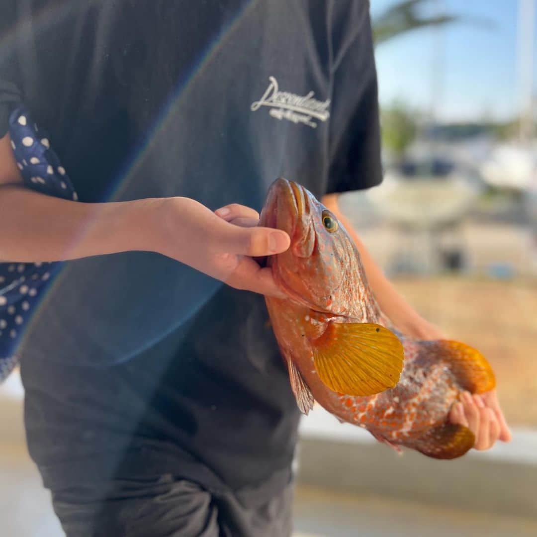西山美希子のインスタグラム：「海で過ごす週末。今週末の息子は、幻の高級魚と呼ばれるキジハタを釣って帰ってきた！小さいお魚を釣って、それを餌にして泳がせ釣り。自然の中で勝手にいろいろ覚えてくる。娘も友達とのんびり過ごして穏やかない時間😌」