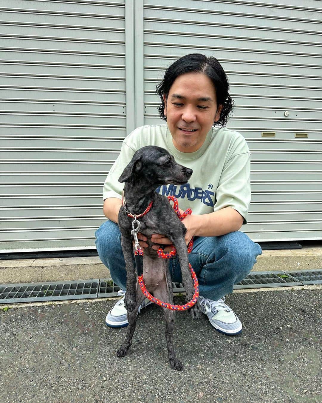 Juniorのインスタグラム：「暑くなって来たからトイプードルを坊主にしたら違う犬になった🐕  #ユリア」