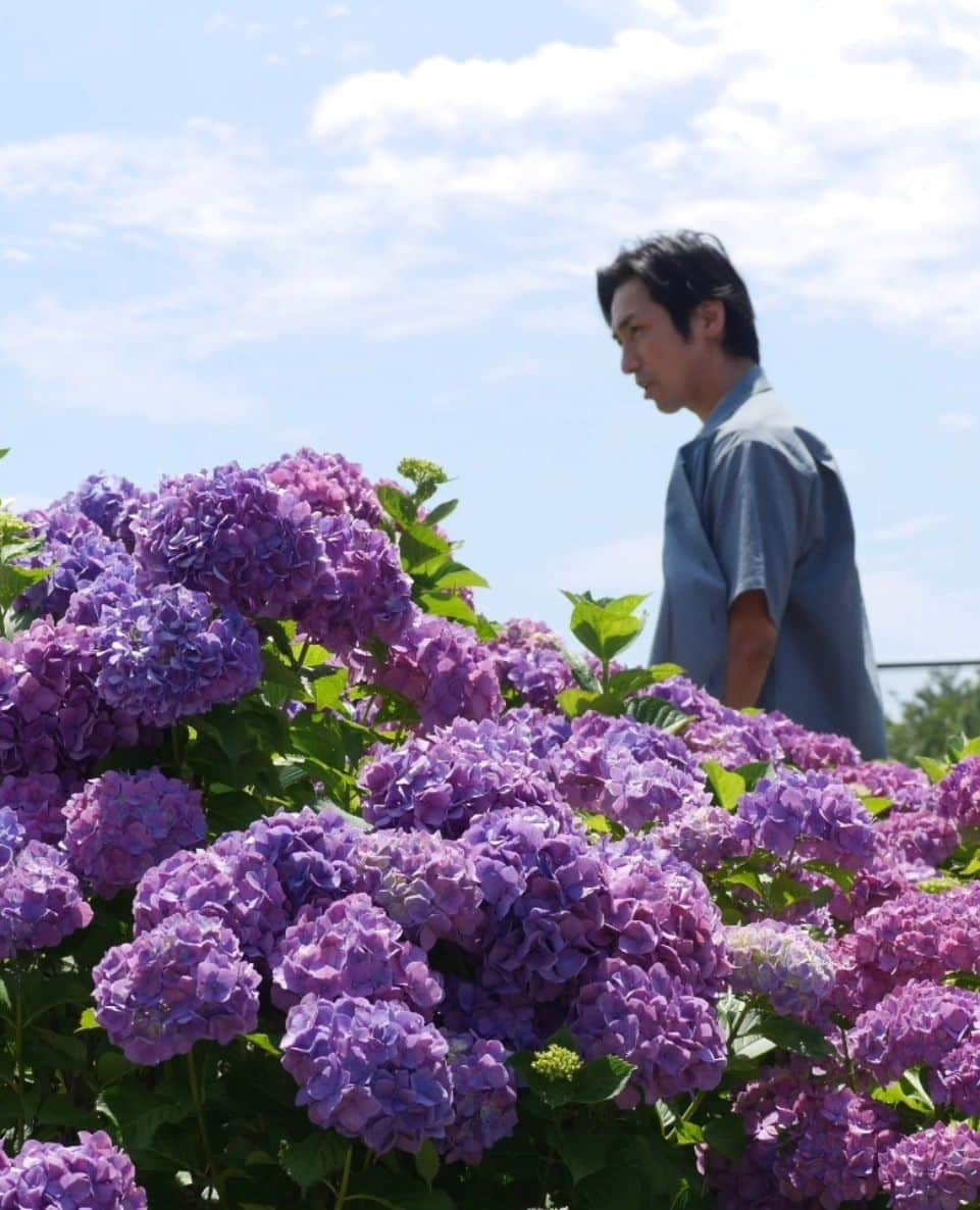 高橋光臣さんのインスタグラム写真 - (高橋光臣Instagram)「紫陽花が美しい梅雨の季節。なのに今日は予想最高気温30℃。暑い。それでもその瞬間を楽しもう。 皆さんの梅雨の楽しみ方は？ #梅雨 #紫陽花 #高橋光臣」6月5日 14時43分 - mitsuomitakahashi