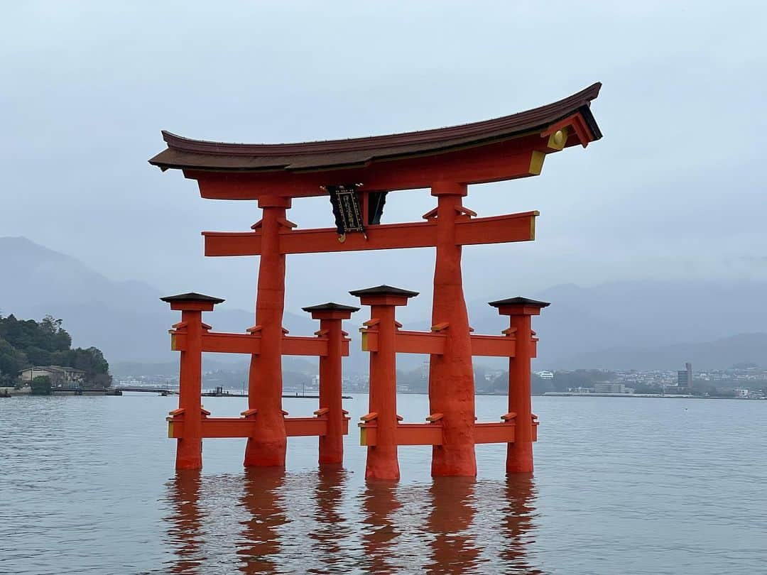 長谷川るいのインスタグラム：「. . . 最強開運日に宮島の厳島神社へ✨ . . 今年も行けたことに感謝👼✨✨✨ . . . . #厳島神社 #宮島 #宮島グルメ  #広島 #あなごめし #宮島カフェ」