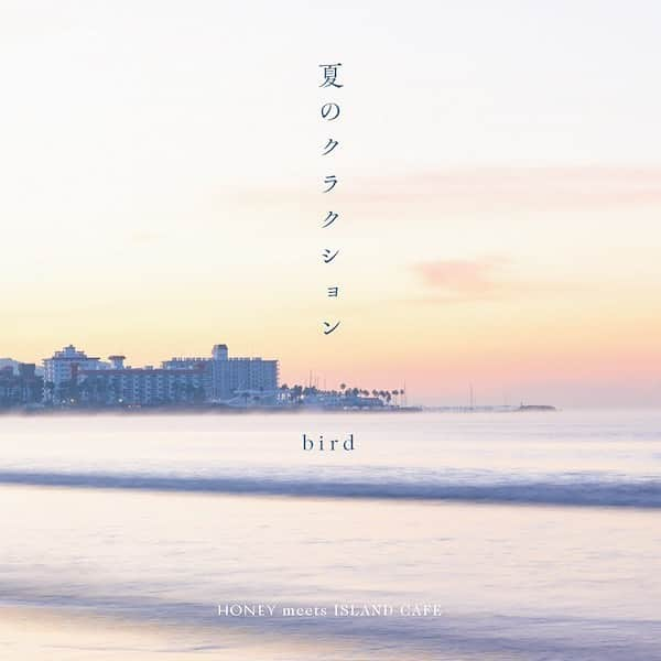 birdさんのインスタグラム写真 - (birdInstagram)「よろしくお願いします⛵️⛱️🏝️  bird「夏のクラクション」2023/6/7 Release & 8/5 7inch vinyl Release DL & ST → https://linkco.re/VxnUh0c6 7inch vinyl → https://citypop.onvinyl.jp/item/imwvr-1022/  INFO → https://www.insense.co.jp/label/imwvr1022  bird「夏のクラクション」 Produced & Arranged by Takahiro Watanabe Recorded by Takahiro Watanabe @ GREEN&BEACH STUDIO Mixed by Takahiro Watanabe  #bird #夏のクラクション #渡辺貴浩 #takahirowatanabe #GREENandBEACHSTUDIO #稲垣潤一 #SeaofLove #loversrockdub  「HONEY meets ISLAND CAFE -Sea of Love-」シリーズに、2016年以来7年ぶりの参加となる最新曲は、稲垣潤一の名曲「夏のクラクション」のラバーズ・ダブスタイル・カバー。 売野雅勇、筒美京平による日本の夏を代表するサマーアンセムを、渡辺貴浩による極上のラバーズトラックと、チル感満載のダビーなミックスでお届けします。オリジナルアレンジのリフを生かしながら、ラフ＆タフに仕上がったこの作品、今年の夏一番のレゲエ・アイテムになりそうな予感。 「HONEY」シリーズには2016年「Sea of Love」1作目以来の参加。前回はHeptones / Dennis Brown「Sea of Love」のカバーでシリーズ表題曲を担当。渡辺貴浩アレンジによるこのカバーは2022年に7インチアナログも発売し即完売に！ 今回は、「HONEY meets ISLAND CAFE」と、FMヨコハマの人気番組「SHONAN by the Sea」のコラボレーションで発売されるCD「Sea of Love 8」からの配信シングルカット！」6月5日 15時20分 - birdwatchnet