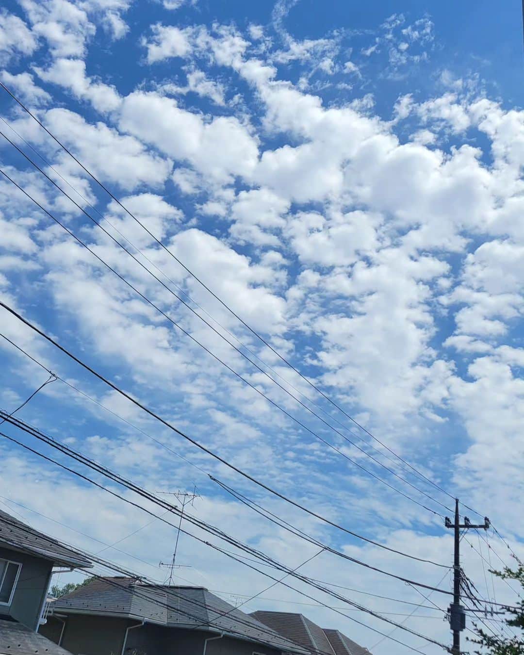音無美紀子さんのインスタグラム写真 - (音無美紀子Instagram)「青い空にふんわり雲がいっぱい浮かんで、なんて素敵なの！ もう夏の空ね。 今日は横浜関内ホールです。 朝、ぱぱっと楽屋に人参ラペとグリンアスパラサラダを作って差し入れ。冷凍してあったローストポークも。  さあて、２日あいての公演。 やっぱり緊張するわ。 #風を打つ #横浜演劇鑑賞協会 #Dear Angel のお気に入りセットアップ」6月5日 16時13分 - mikikootonashi