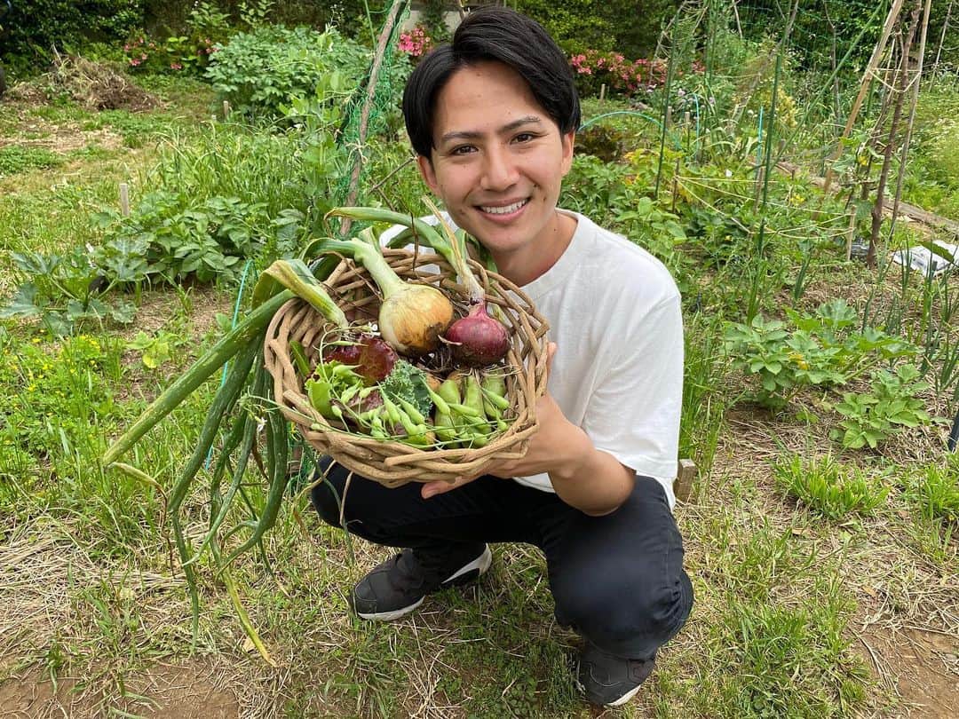 フジテレビアナウンサーのインスタグラム：「今回はシェア農園で野菜作りに挑戦しました。 都会のこんな場所に農園があるなんて！ 普段なかなか経験できない土いじりを通して、身も心もリフレッシュできました☺️ どんなお野菜が育つか楽しみです！  #体感サステナWAVE #楽しくアクションSDGs #シェア農園 #自産自消 #フジテレビアナウンサー #安宅晃樹」