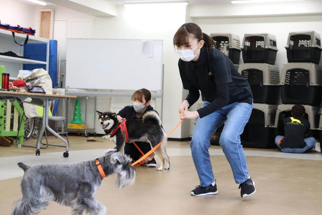 【公式】東京コミュニケーションアート専門学校ECOのインスタグラム