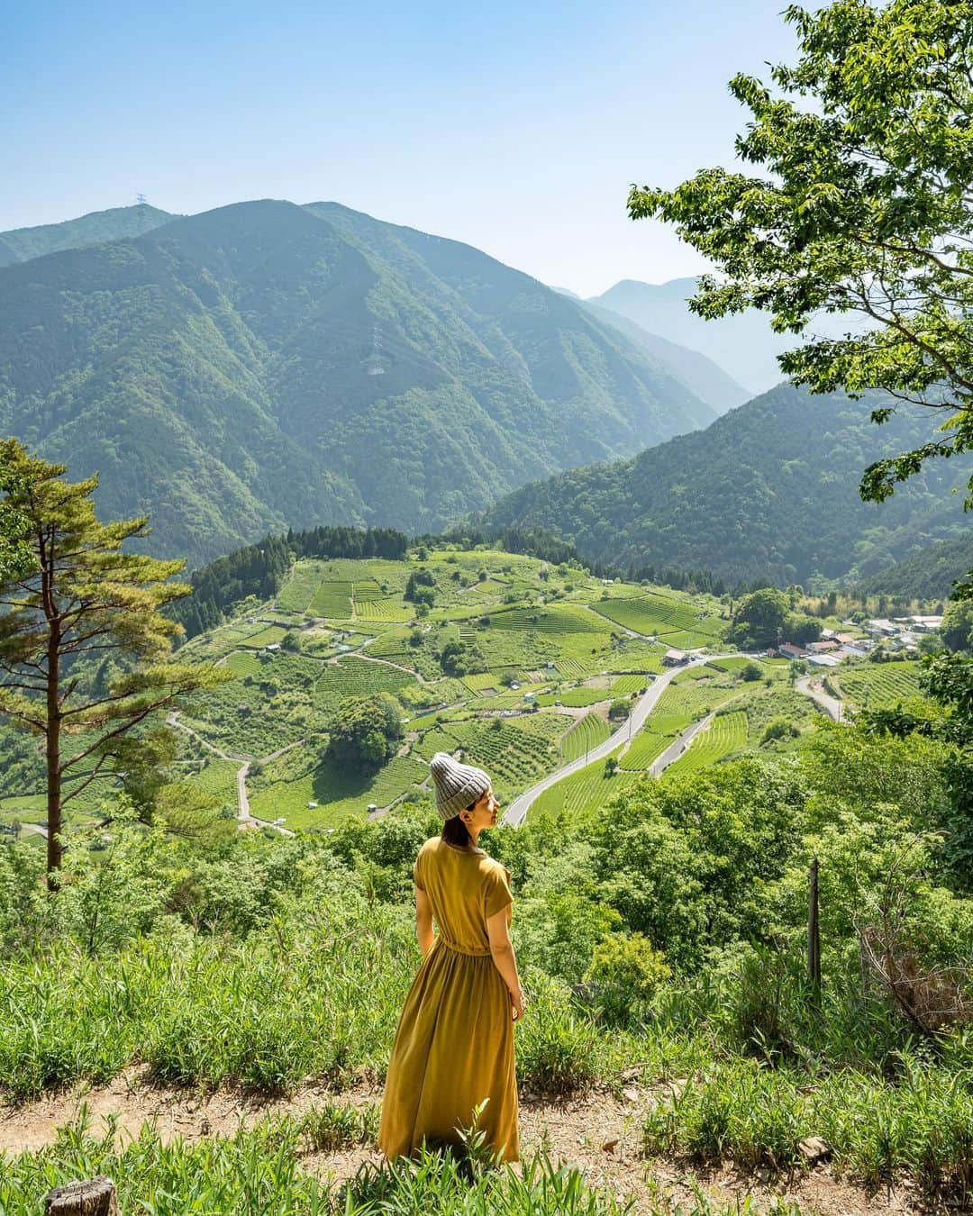 のインスタグラム：「📷 17th May 2023 📍岐阜県  上ヶ流茶園  天空の茶畑 /  Kamigare Tea Plantation, Gifu Japan   駐車場から山道を歩くこと15分。振り返るとこんな景色が広がっていました。岐阜県にある #上ヶ流茶園 （かみがれ茶園）通称 #天空の茶畑 です。  標高約300mの高台にあって、ちょうど山の頂上に作られています。ペルーのマチュピチュとは違う場所なので比べるものではないと思っている派ですが、尾根が切り開かれているという地形はたしかに似ているかもなあと思いました。（ここは #岐阜のマチュピチュ と呼ばれている）（ちなみにマチュピチュは標高2,430mでもっと高かったです）  この茶畑は地形的に朝霧が立ち込みやすいという特徴を活かして、なんと鎌倉時代からお茶が栽培されてきたそう。地形が険しいため昔の品種がそのまま残っていて、希少な「古来茶」が現在も生産されています。（私が行った日は売り切れてた…）  近くには茶畑を見ながらカフェできる #ハートkoyaカフェ もあります🍵  岐阜県の投稿はこのタグでまとめています / Posts of this area can be found in this tag.→ #shiho_gifu   It was a 15-minute walk along the mountain path. When I looked back, I saw this view. This is the #Kamigare Tea Plantation, also known as the “Tea Plantation in the Sky”, located in Gifu Prefecture Japan. It is located on a hill about 300 meters above sea level, just at the top of the mountain. It has been cultivated since the Kamakura period (1185-1333), taking advantage of the topographical feature that morning fog tends to roll in. Because of the steep terrain, the old varieties have been preserved, and rare "Korai-cha" tea is still being produced today. It was sold out the day I visited... There is also a #Heartkoyacafe nearby where you can enjoy #matcha sweets while looking at the tea fields!   ©︎Shiho/詩歩」