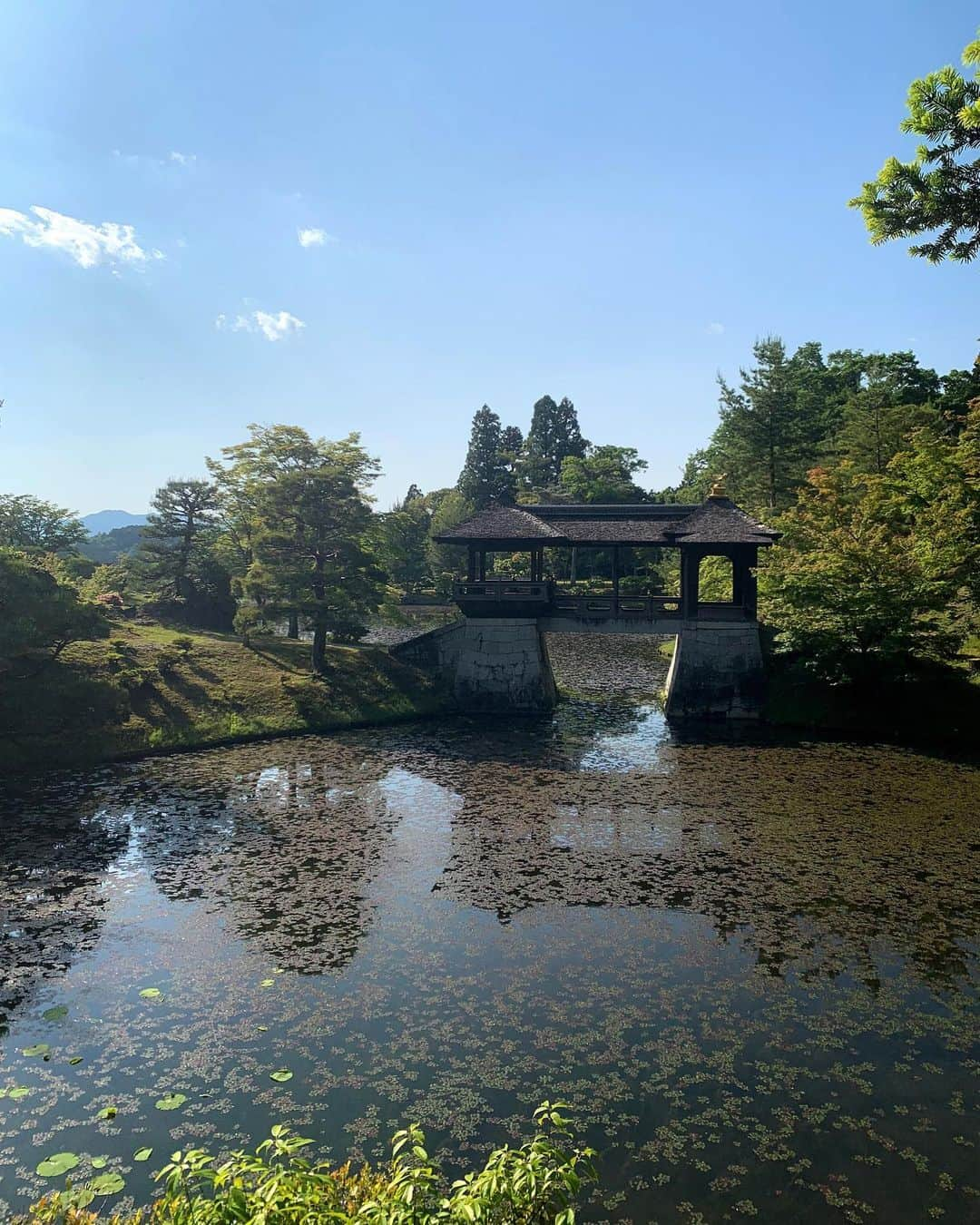 祐真朋樹さんのインスタグラム写真 - (祐真朋樹Instagram)「あれこれと、 最近の写真です。  #修学院離宮 #梅ゼリー #冷やし中華 #ドウダンツツジ  #祐玄関 #gucci #hermès  #driesvannoten #富士山」6月5日 19時06分 - stsukezane