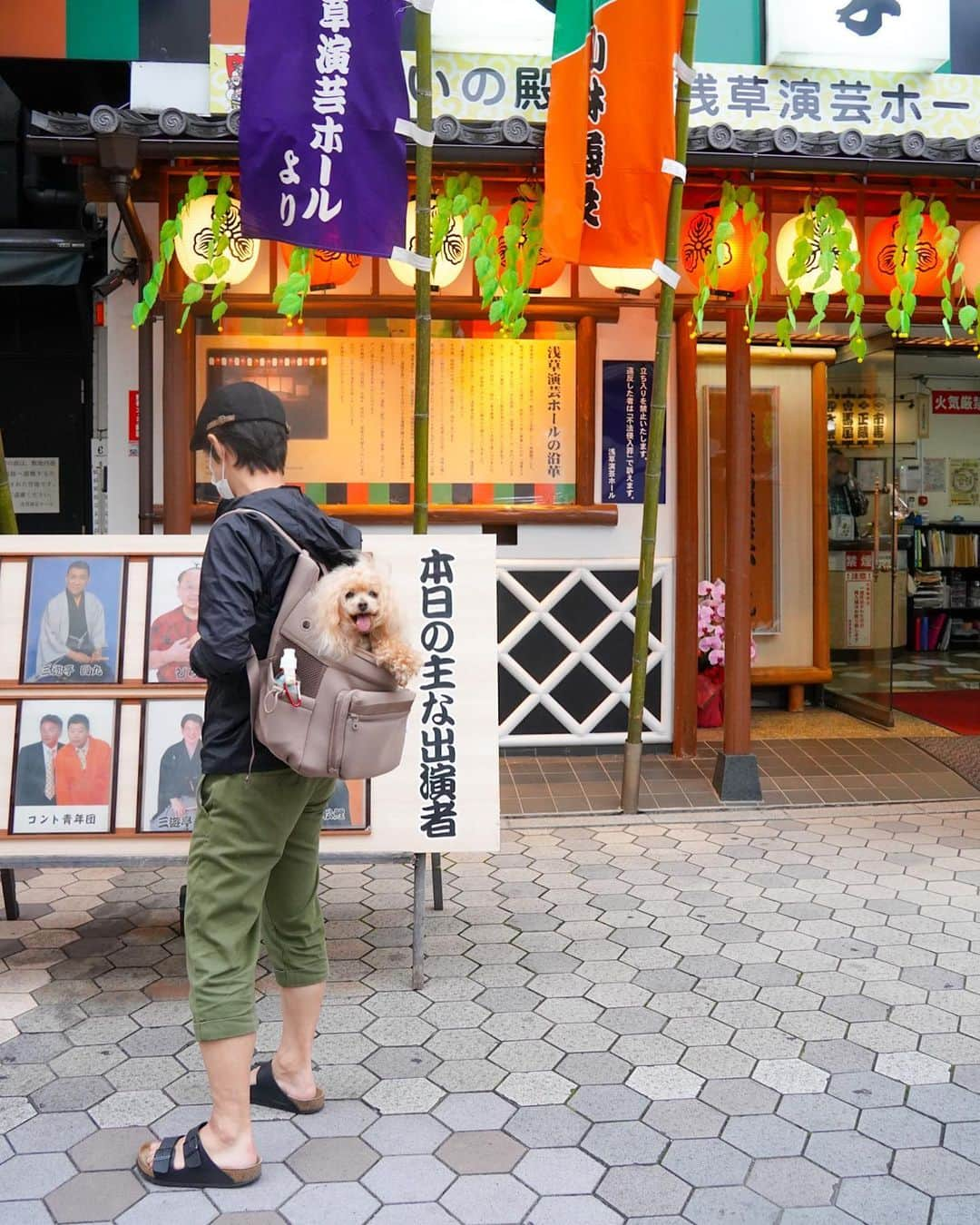 Toypoodle Mikuru?Asakusa Tokyoさんのインスタグラム写真 - (Toypoodle Mikuru?Asakusa TokyoInstagram)「20230605 Monday. みくるの浅草楽んぽ💓 新しいリュックで、パパと一緒に楽々お散歩しました😄  @citydog_official さんの ネオプレーンバックパックキャリーです。 お色はモカ。サイズはRです。 見た目めちゃ可愛いです💕 ポケットもたくさんついているので、 みくるんの大好きなウマウマもいっぱい入ります🍖  お出掛けにも通院にもたくさん使えそうです👏🏻  #citydog_jp　#シティードッグ #PR  #poodle#poodle_playoffs#みくるん#トイプードル#プードル#ワンコなしでは生きて行けません会#貴婦狗 #東京トイプードル #poodlesofinstagram#instadog#todayswanko#purapurafamily @i.am.mikuru #토이푸들」6月5日 19時31分 - purapura299