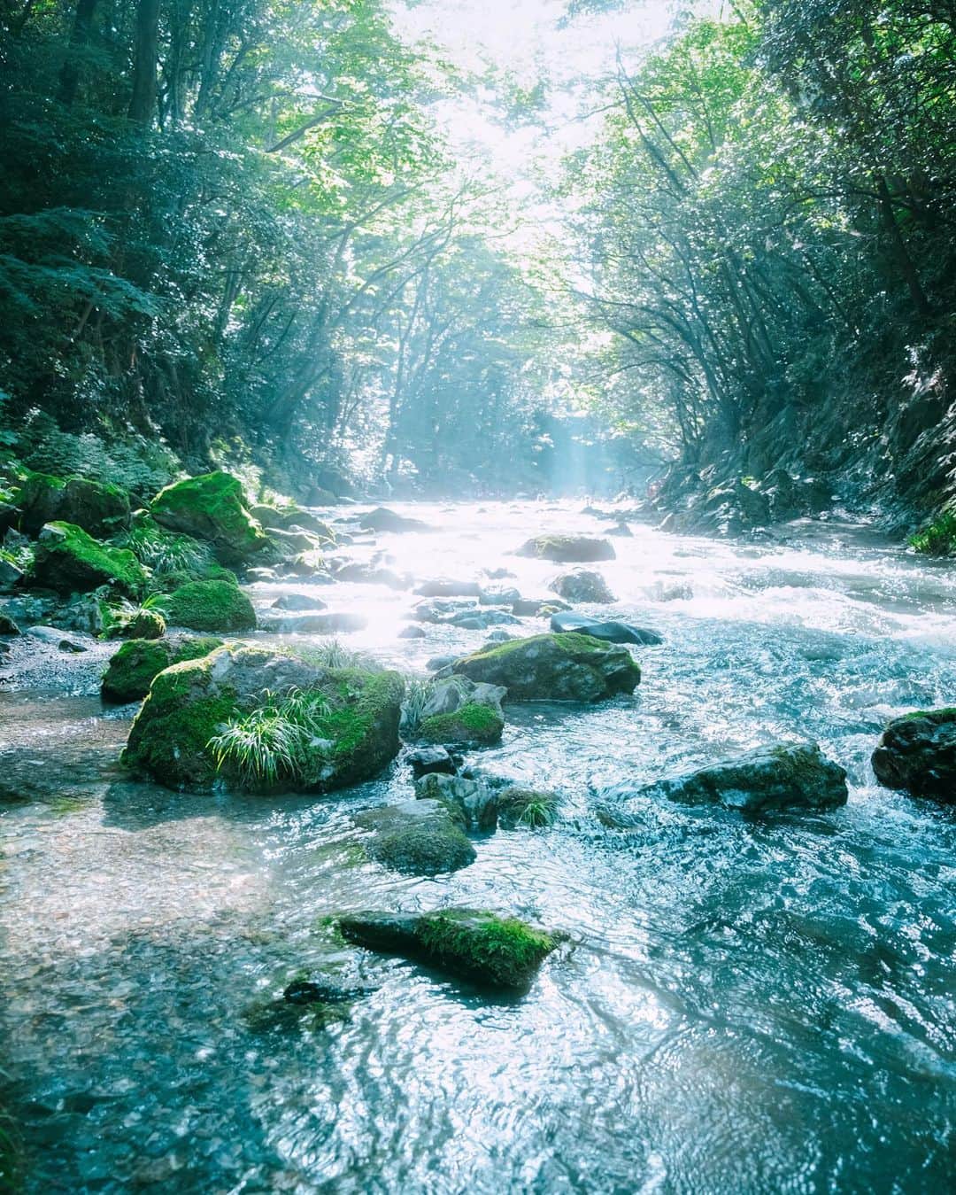 国分真央さんのインスタグラム写真 - (国分真央Instagram)「. 今年も涼しい川に行きたいな 𓆟✴︎💎 ⁡」6月5日 19時27分 - mao_kokubu