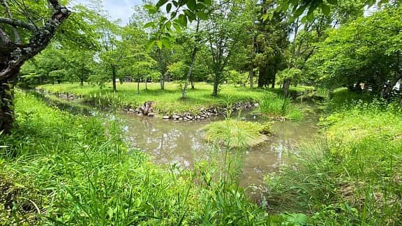 長谷川ヨシテルのインスタグラム：「【院庄館】(いんのしょうやかた)にも行ってきましたー！ 鎌倉〜室町時代にかけて、美作(岡山県北部)の守護の館があったと伝わる場所です〜 守護館を彷彿とさせる水堀や、土塁が一部現存していました🏯 現在は後醍醐天皇と忠臣の児島高徳を祀る「作楽神社」が建っています〜⛩️  #岡山県津山市 #院庄館 #作楽神社」
