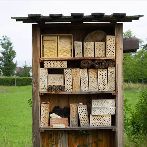Dr. Hauschka Japan ドクターハウシュカさんのインスタグラム写真 - (Dr. Hauschka Japan ドクターハウシュカInstagram)「南ドイツの自社農園より、  これは養蜂箱で、蜂のすみかであり子供たちを育てる空間です。私たちはリップクリームをはじめ多くの製品に使用するためのミツロウを育むためにオーガニック養蜂を自社農園内でも運営をしています🐝  ミツバチの保護と生存に貢献し、 農園内の生物多様性を保つことにより、 植物や生物が調和して、 イキイキと生活することができるのです✨  ▶詳しくはプロフィールのリンクからどうぞ→drhauschkajapan  ▶もう一度見たい方はぜひ投稿画像右下の「保存」ボタンを押してくださいね。  #ドクターハウシュカ #バイオダイナミック農法#オーガニック養蜂#ミツロウ#オーガニックコスメ#有機農法#1967年からずっとオーガニック#100％ナチュラル #オーガニックライフ#ナチュラルコスメ #サステナビリティ#有機農法」6月5日 20時01分 - drhauschkajapan