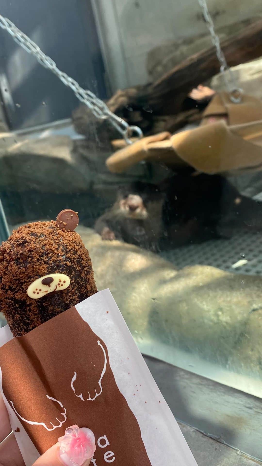 堂本千晴のインスタグラム：「🐬🫧‪🪼🩵🐠  かわうそさんのご飯タイム夢中すぎて広範囲撮りたくて縦にするの忘れてた💦(ご飯食べてるの羨ましくてかわうそマン食べた)」