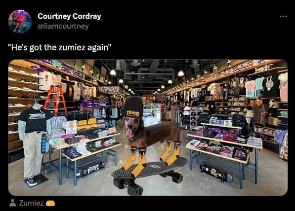 zumiezのインスタグラム：「Us: “heheh lol. Here is a funny dog joke.” Somebody in the comments: “that dog is an poser. I had those flame sonks last Octomber”」