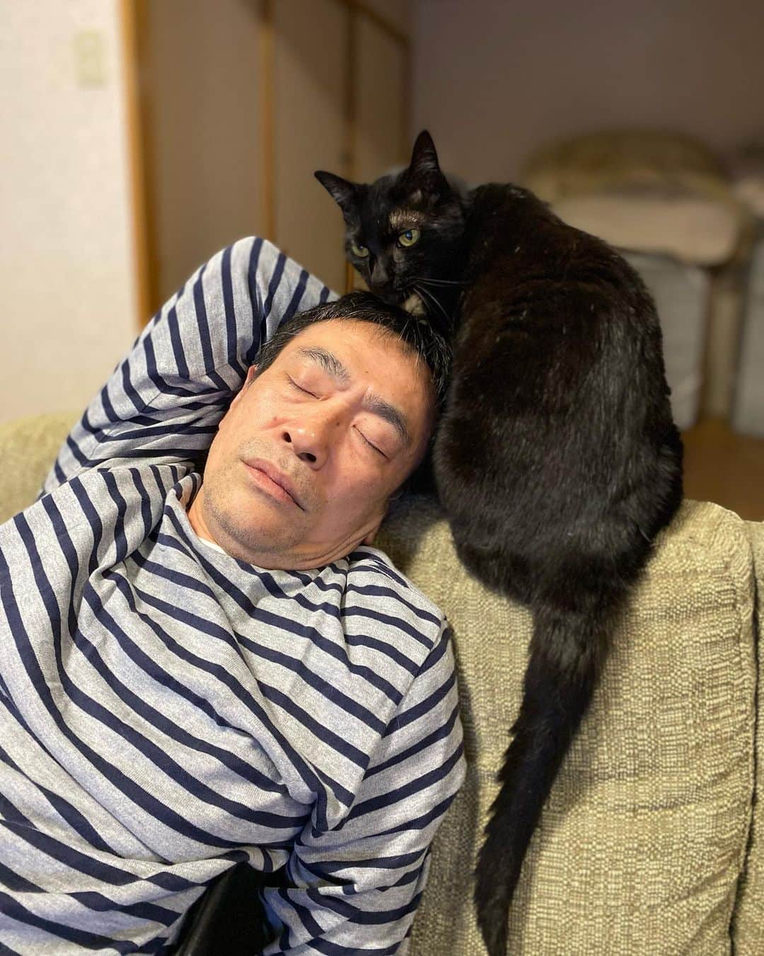 nemuru_catのインスタグラム：「#ベム#眠る夫  すぐ寝る💤 * #ねこ部#cat#cats#neko#猫#catsofinstagram#bestmeow#catlover#ふわもこ部#黒猫」