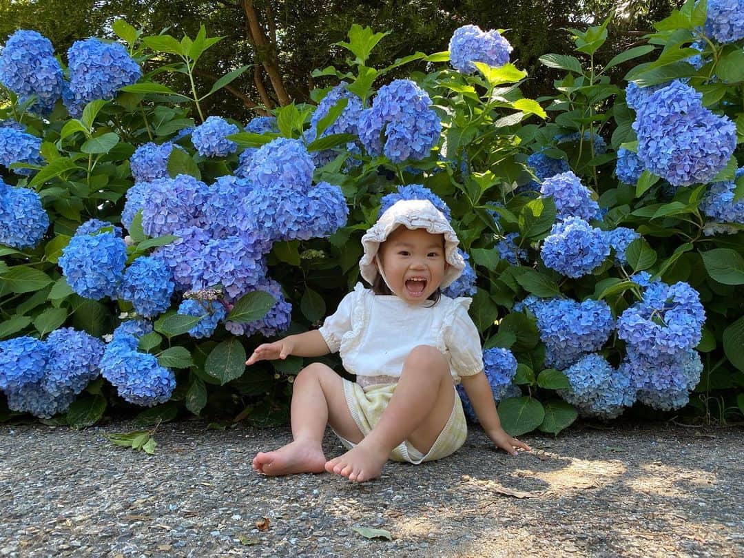 山田美花のインスタグラム：「✧  #紫陽花  #6月生まれガール  #💙💜️🩵」