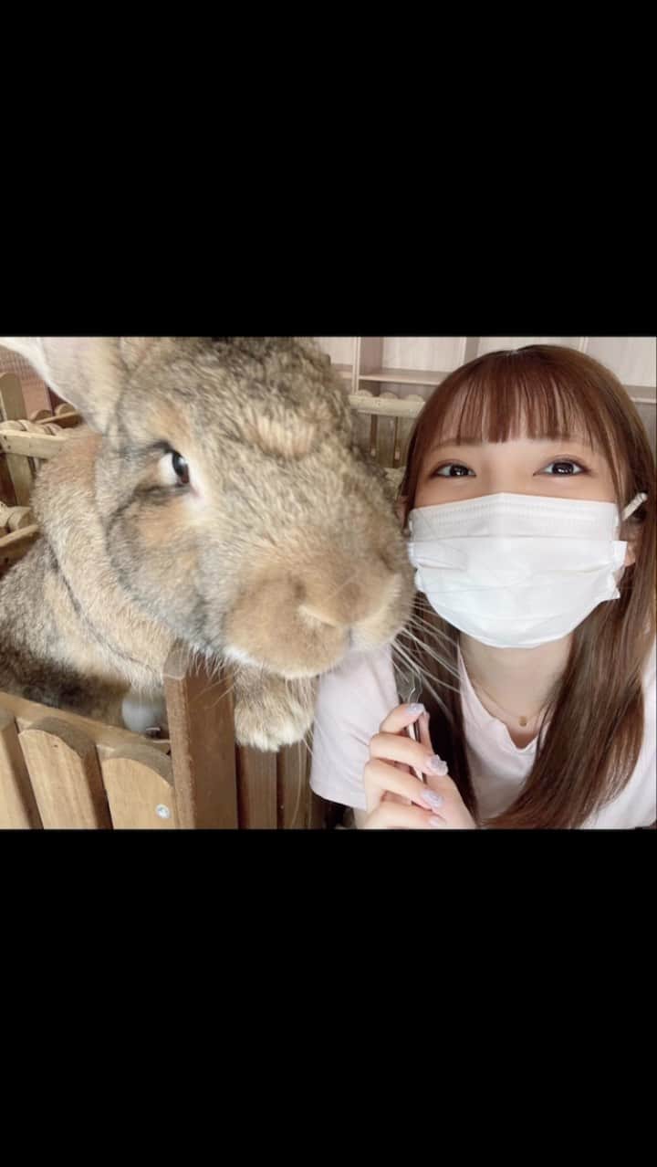 櫻井もえのインスタグラム：「大きなウサギさんいたwww」