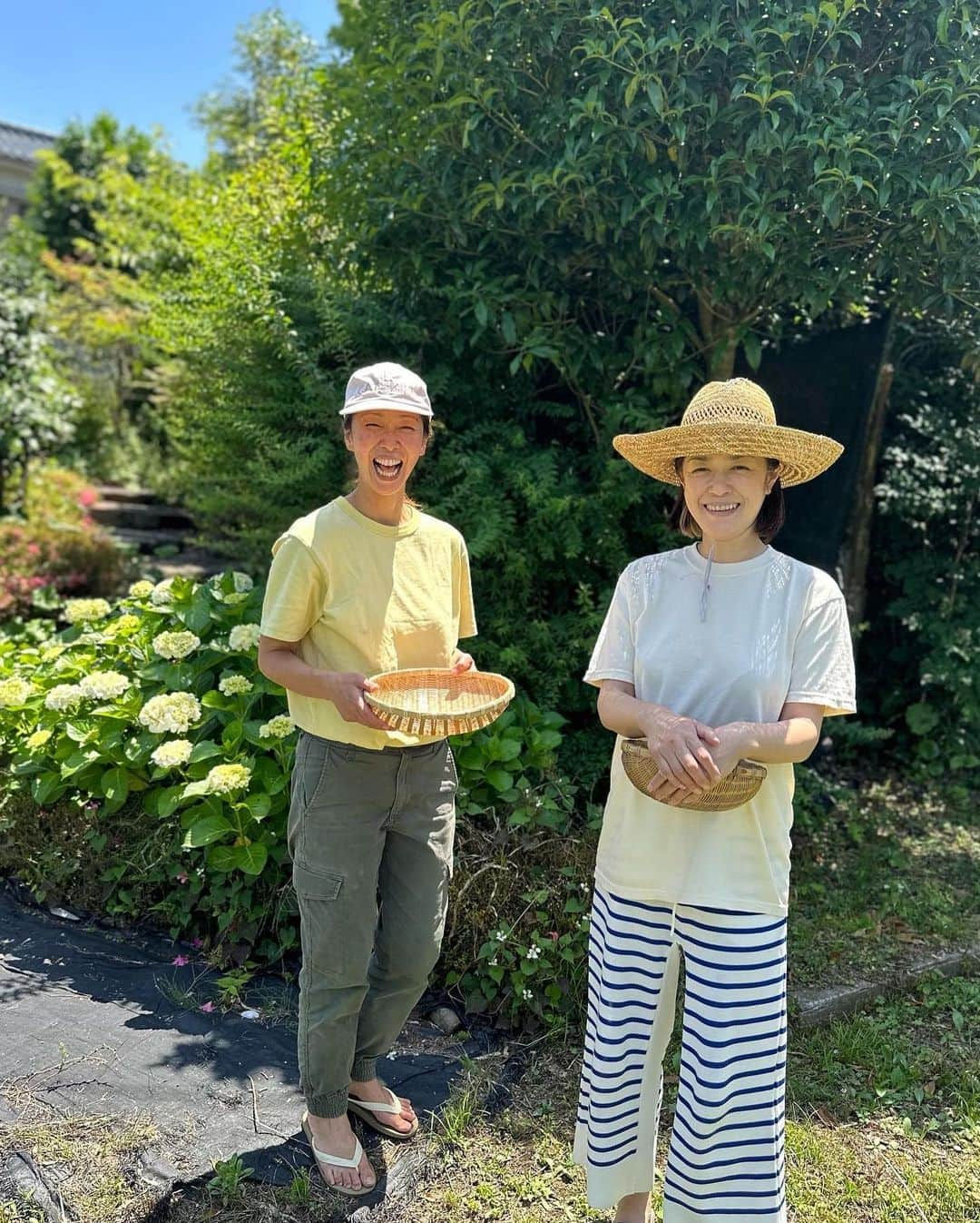 加藤紀子さんのインスタグラム写真 - (加藤紀子Instagram)「新たなる最高の扉を開けてしまった鹿児島時間。 穏やかでのどかで生活が優しくて。 心地よく暮らすことへの 良き学びを頂きました！  @dwell_kagoshima @dwell_kitchen_labo  豊かな時間をありがとうでした！  @yacciyoプロもいっぱいありがとねー❤️  （虫に刺されるタイプなんだと、 どくだみチンキ用にどくだみ摘んでる最中に🦟に刺されて血だらけってまじ地獄）」6月5日 22時57分 - katonoriko