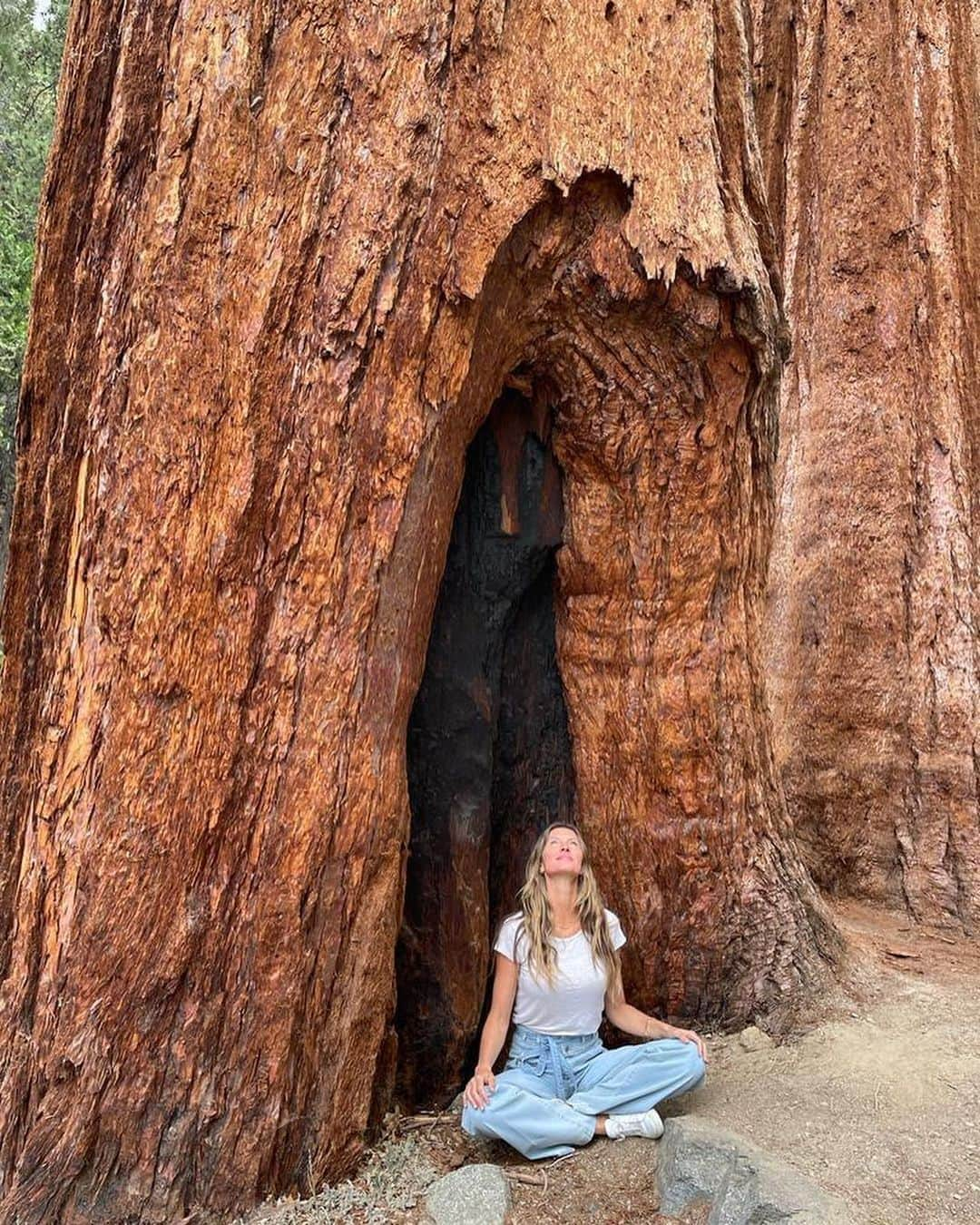 ジゼル・ブンチェンさんのインスタグラム写真 - (ジゼル・ブンチェンInstagram)「Mother Nature is our greatest teacher. She shows us that everything is interconnected and interdependent. Her power comes from her diversity and it depends on it for its  survival. Just like with people, our differences are our strengths, and we get stronger when we work together.  Nature doesn’t judge or divide. She nurtures. She reminds us that every form of life is sacred, and important, and has its own special role in creating balance, so all of life can flourish. Nature has the answers--and by observing her, and mirroring back her example, we can all thrive. This is our home, and our choices create our future.  #WorldEnvironmentDay 🌳❤️ 🌎  A Mãe Natureza é a nossa maior professora. Ela nos mostra que tudo está interligado, interconectado. Seu poder vem de sua diversidade e ela depende disso para sobreviver. Assim como com as pessoas, nossas diferenças nos complementam e nos tornamos mais fortes quando trabalhamos juntos. A natureza não julga ou divide. Ela nutre. Ela nos lembra que toda forma de vida é sagrada e importante, e tem seu papel fundamental para trazer equilíbrio para que toda a vida possa florescer. A natureza tem muitas respostas - e, observando-a e seguindo seu exemplo, podemos todos prosperar. Esta é a nossa casa - e as nossas escolhas criam nosso futuro. #DiaMundialdoMeioAmbiente」6月5日 23時49分 - gisele