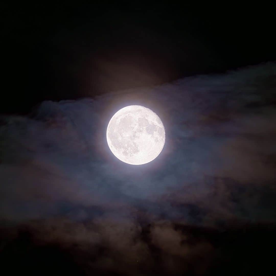 KAGAYAさんのインスタグラム写真 - (KAGAYAInstagram)「空をご覧ください。 南に立待月が輝いています。 私のところでは月のまわりの雲がやさしく色づいていました。 今日もお疲れさまでした。 #moon #sonyalpha #α7rv」6月6日 0時09分 - kagaya11949