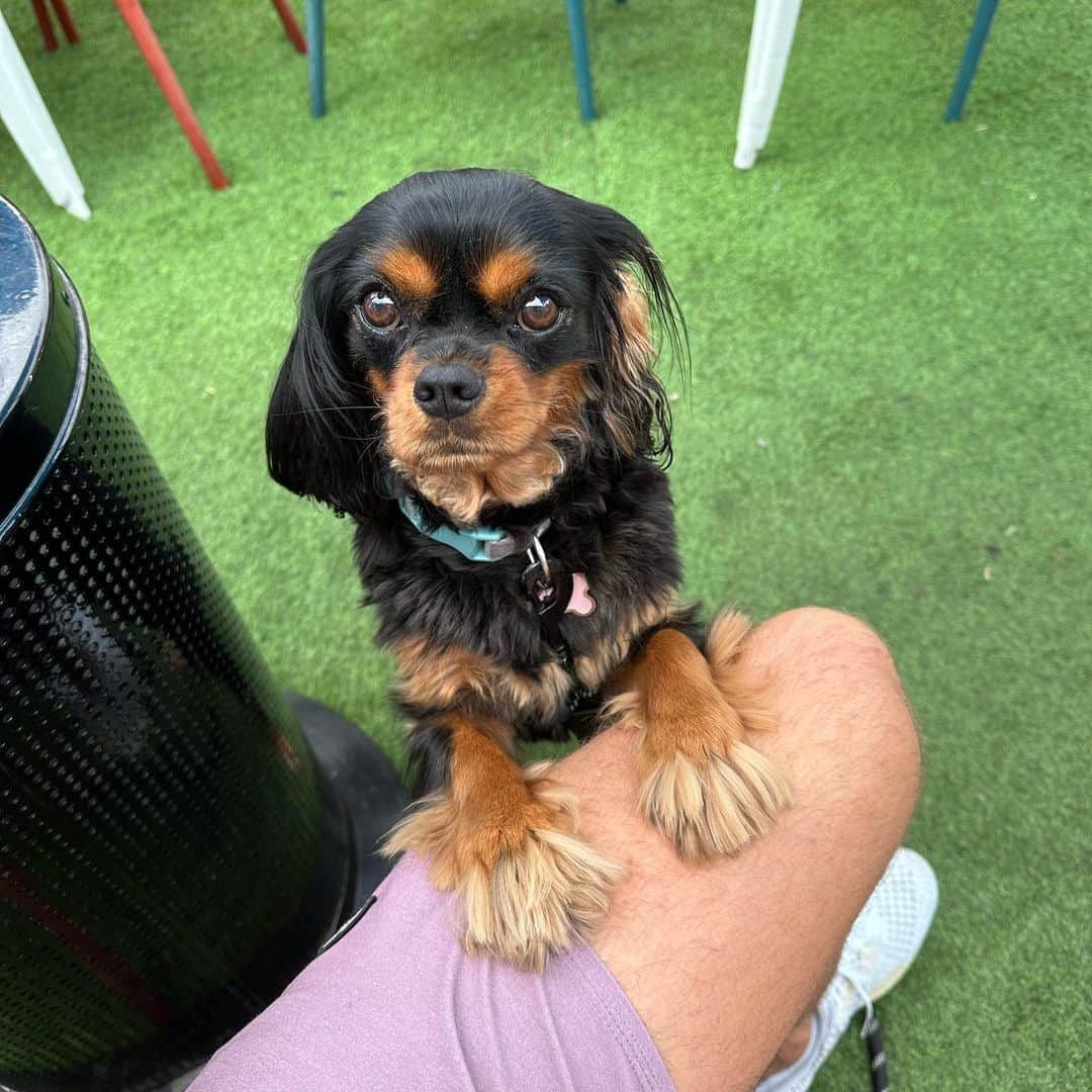 のインスタグラム：「I can’t say no to that face.  I’m an enabler ….」