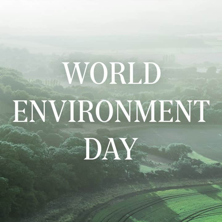 モルトンブラウンのインスタグラム：「On this World Environment Day we wanted to update you on our top sustainability commitments:  🐇 We've been cruelty free since 1971 (in fact, we're one of the first brands in Britain to do this!) and Leaping Bunny approved since 2012  🇬🇧 We make all our products in England, in our carbon neutral factory in Hertfordshire  🧴 Our bottles are made from 50% recycled plastic...  ♻️ ...which you can recycle at our in-store 'Return. Recycle. Reward.' scheme  Tap the link in bio to discover more」