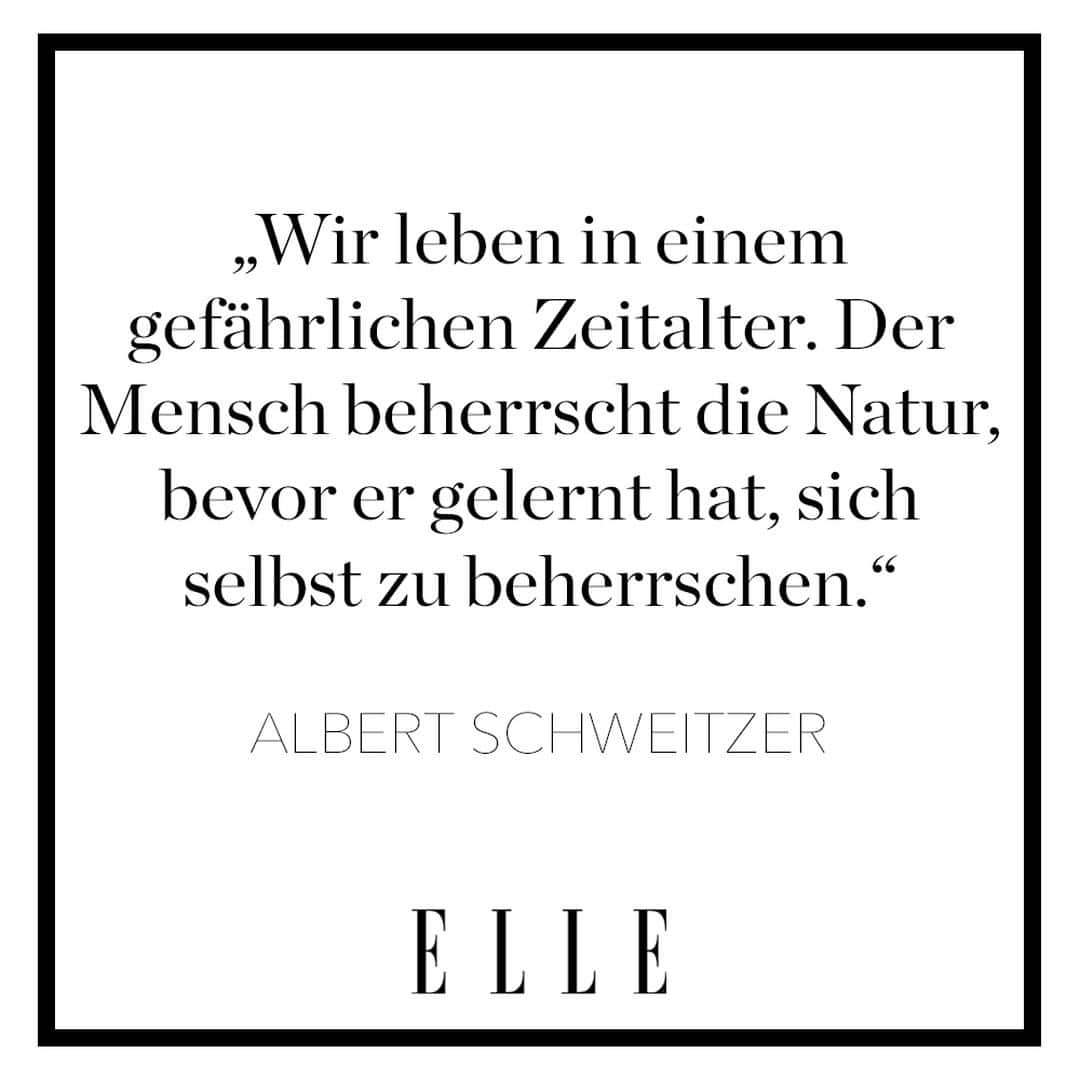 ELLE Germanyさんのインスタグラム写真 - (ELLE GermanyInstagram)「Unter dem Motto „Natur stärken – Klima schützen.“ findet heute der Weltumwelttag statt. Er soll die Aufmerksamkeit auf die Natur richten und mit Aktionen und Veranstaltungen zur ökologischen Courage aufrufen. Was machen Sie für die Umwelt? 🤍  #umweltschutz #klimaschutz #weltumwelttag #umwelt #natur」6月6日 1時13分 - ellegermany