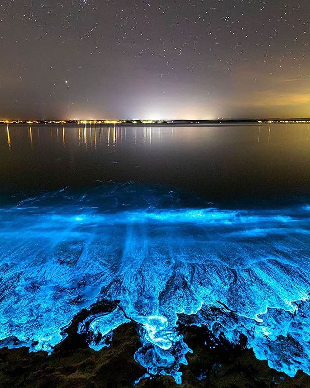 Discover Earthさんのインスタグラム写真 - (Discover EarthInstagram)「Shine bright like a diamond ✨  Bioluminescence is the emission of light by living organisms. It is caused by chemicals reacting to triggers and serves purposes such as attracting prey and communication.  📍 Australia  🇦🇺 #DiscoverAustralia with @jordan_robins」6月6日 23時00分 - discoverearth
