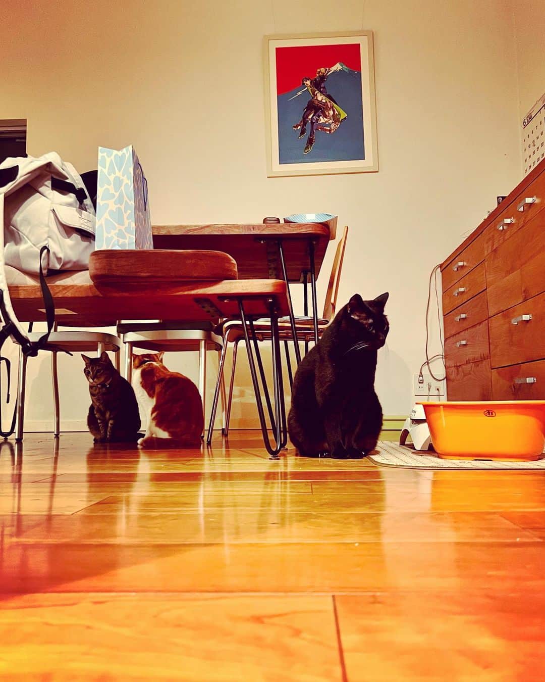 ピエール瀧さんのインスタグラム写真 - (ピエール瀧Instagram)「深夜2時。夜行獣に占拠されるダイニング。  そしてオイラはゼルダをやりまくっている。良い夜。」6月6日 2時01分 - pierre_taki