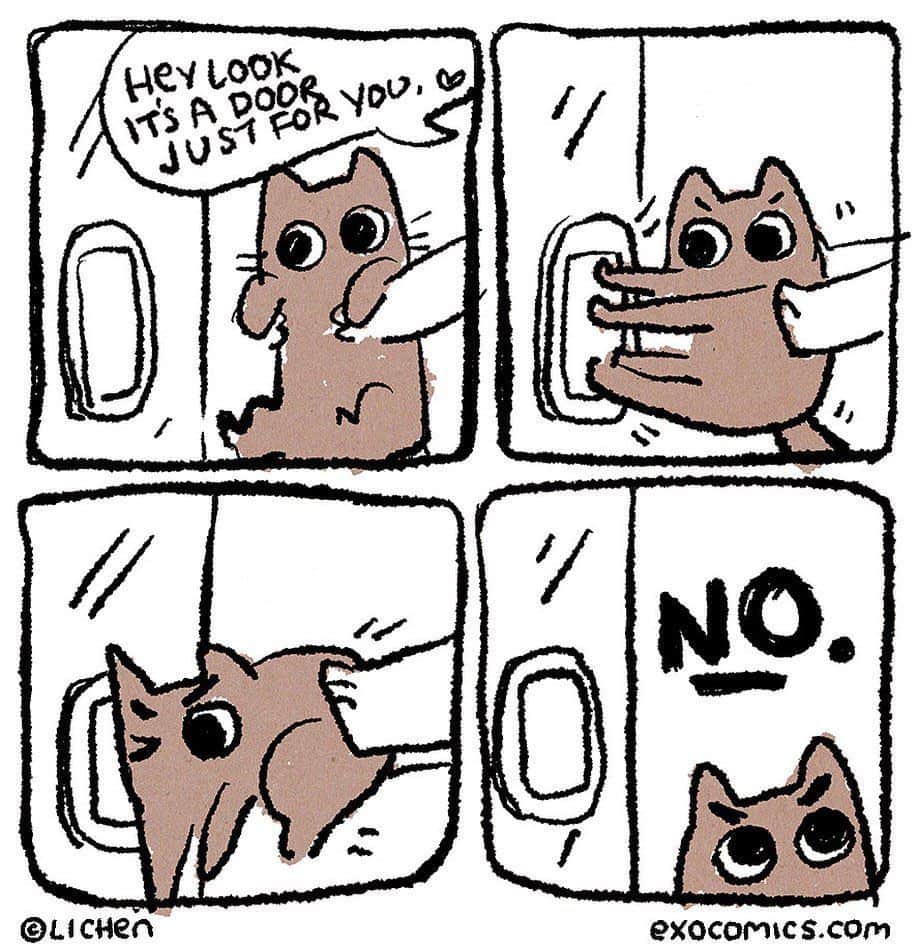 9GAGさんのインスタグラム写真 - (9GAGInstagram)「*continues to scratch at the door to be let out* ✍🏻 @exocomics - #comic #cat #catbehavior #stubborn #9gag」6月6日 4時01分 - 9gag