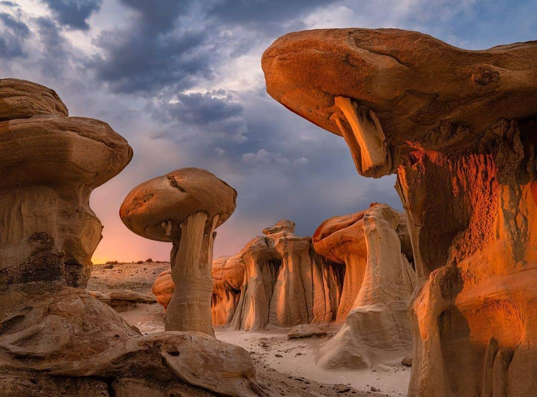 アメリカ内務省さんのインスタグラム写真 - (アメリカ内務省Instagram)「With rock formations that resemble something out of a science fiction movie, Ah-Shi-Sle-Pah Wilderness Study Area calls upon the imaginative spirit. The area is known for its stunning badlands and geological formations that have been sculpted by erosion over millions of years.    Ah-Shi-Sle-Pah Wilderness in northwestern New Mexico is a designated wilderness area, which means it is protected and preserved for its natural value. Visitors are encouraged to practice responsible outdoor ethics, such as staying on designated trails, leaving no trace and respecting the fragile desert ecosystem.    Photo by Jessica Fridrich    #publiclands #wilderness #recreateresponsibly #greatoutdoorsmonth #badlands #newmexico   Alt Text: Giant mushroom shaped hoodoos bask in the last sunrays of the day.」6月6日 4時10分 - usinterior