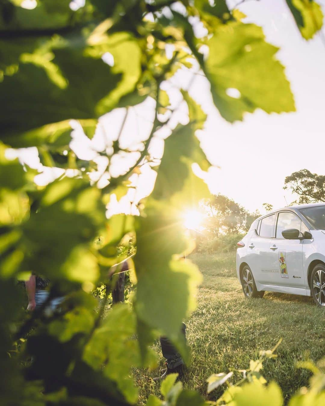 Nissanさんのインスタグラム写真 - (NissanInstagram)「Let’s take the greener road and celebrate together the World Environment Day! Find the perfect EV to suit every lifestyle! 🌎🌱  #Nissan #NissanAriya #NissanLeaf #NissanSakura #EV #WorldEnvironmentDay」6月6日 5時00分 - nissan