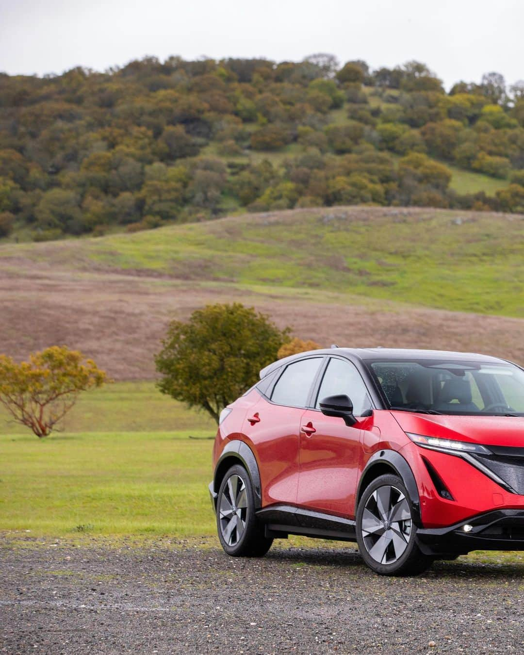 Nissanさんのインスタグラム写真 - (NissanInstagram)「Let’s take the greener road and celebrate together the World Environment Day! Find the perfect EV to suit every lifestyle! 🌎🌱  #Nissan #NissanAriya #NissanLeaf #NissanSakura #EV #WorldEnvironmentDay」6月6日 5時00分 - nissan