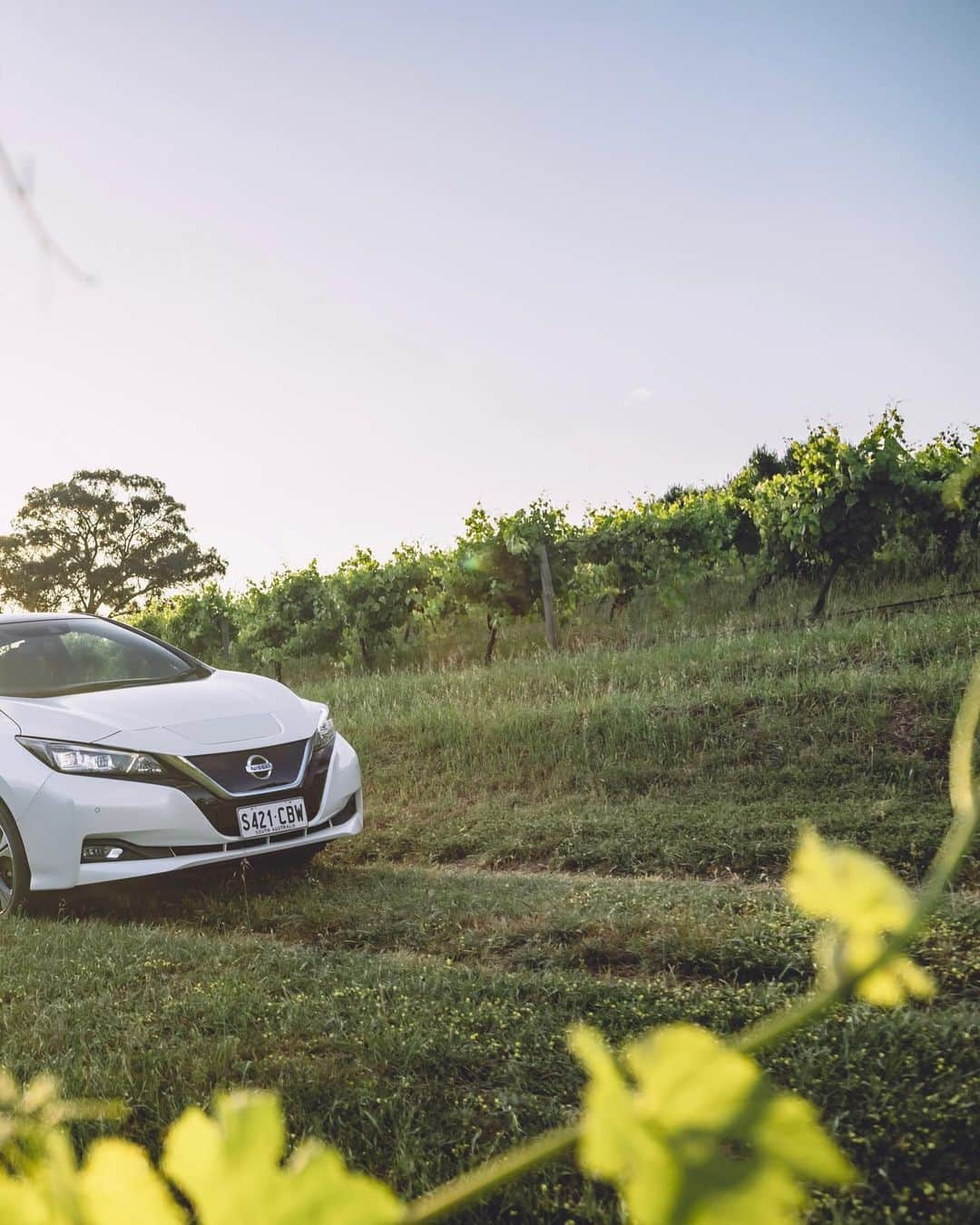 Nissanさんのインスタグラム写真 - (NissanInstagram)「Let’s take the greener road and celebrate together the World Environment Day! Find the perfect EV to suit every lifestyle! 🌎🌱  #Nissan #NissanAriya #NissanLeaf #NissanSakura #EV #WorldEnvironmentDay」6月6日 5時00分 - nissan