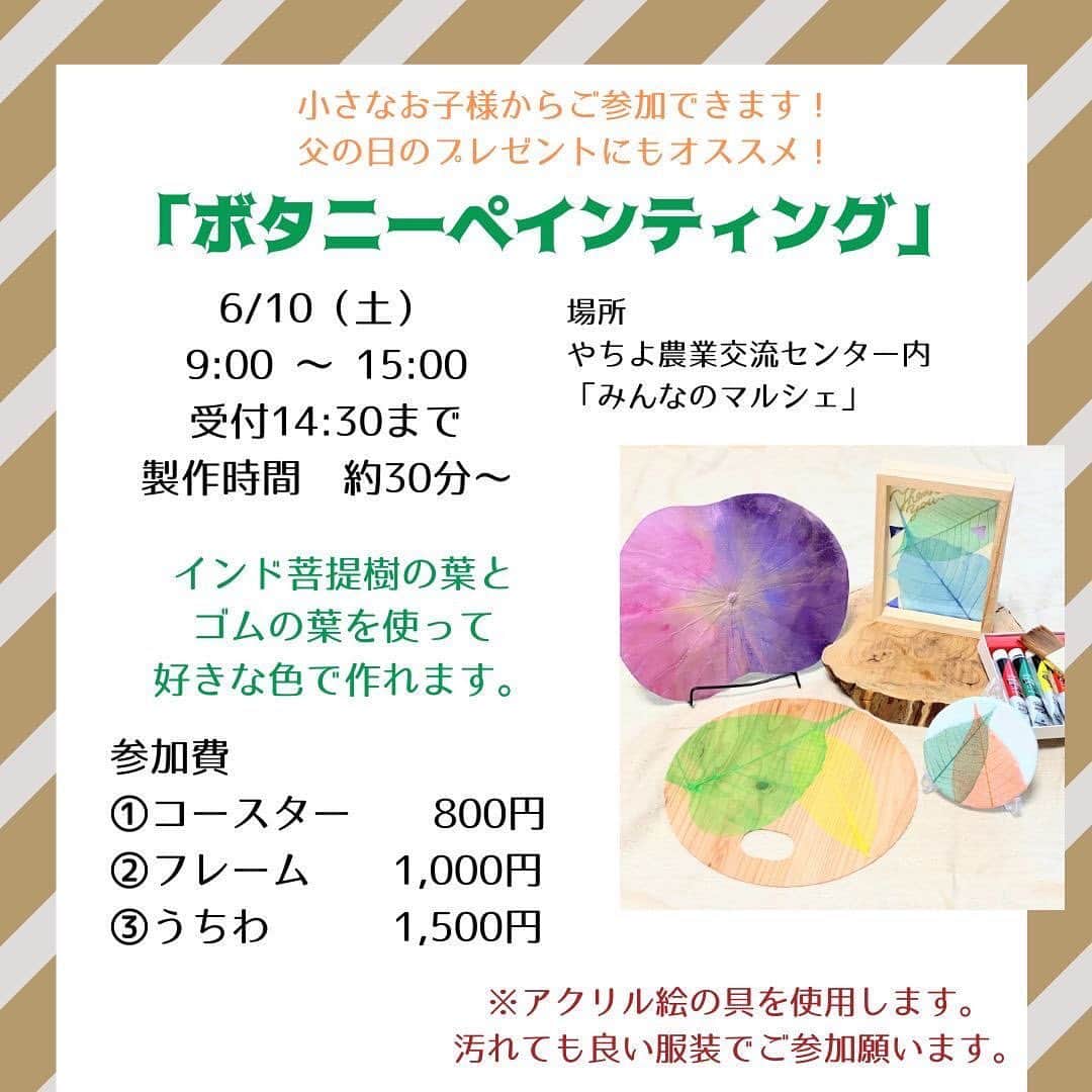 道の駅やちよのグルメインスタ