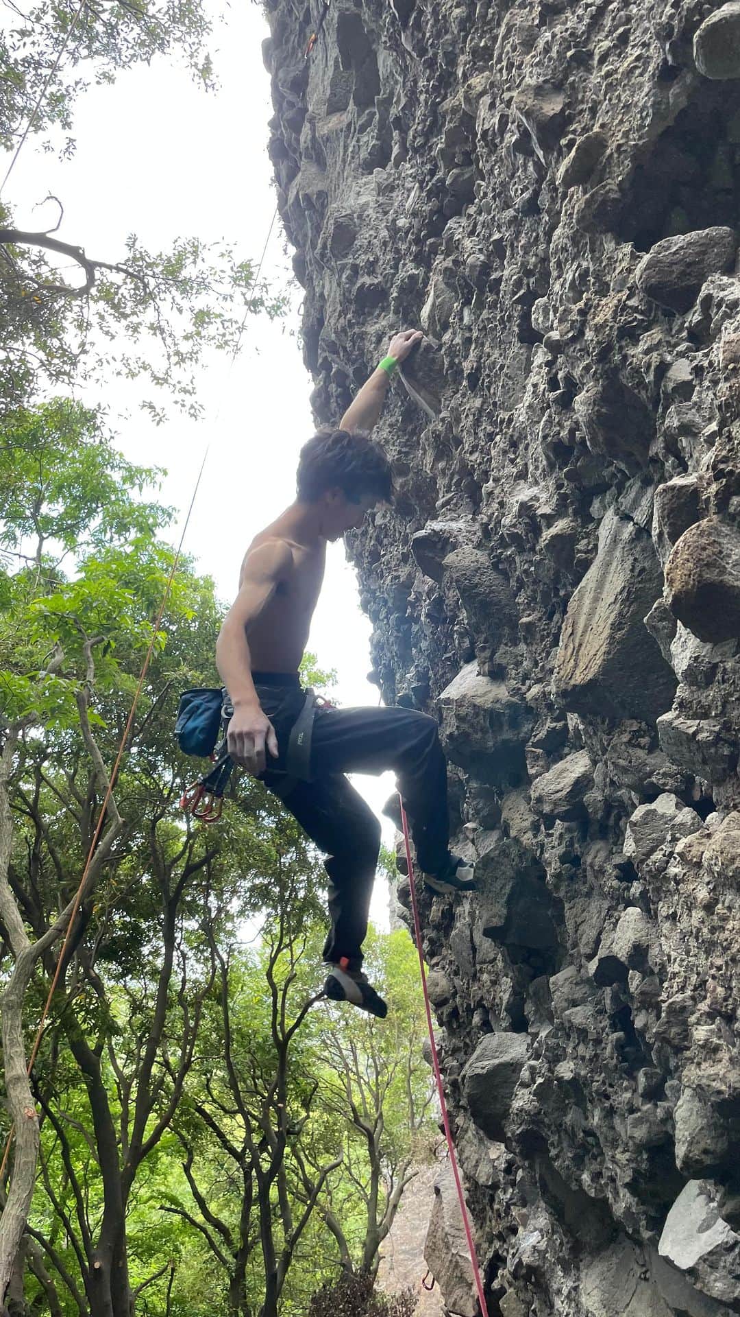 安間佐千のインスタグラム：「I expected 8a+ or 8b but it’s not! New project next to Sour Plum P. Can’t wait to go back but don’t know how it will be in Japanese hot summer🔥  5.13cとかdくらいだと思ってたけど、これは難しい！ 梅干Pの隣のライン。早く戻りたいけど、夏、大丈夫かな🫠  @adidasterrex  @fiveten_official  @petzl_official  @newhale_japan  @newhale_climbing  @carbongrip  @shodoshimaclimbing  #アルテリア #梅干P早くやりたい」