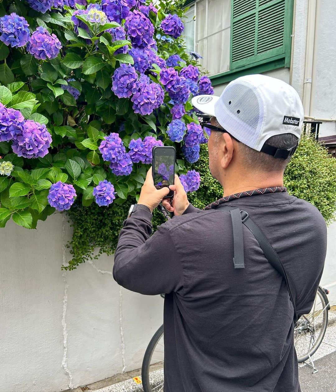 中野英雄のインスタグラム：「紫陽花オジサン 今日も撮りまくってます いい季節だ  #instagram #instagood  #enjoy #walking #japan #mobstar #fashion」