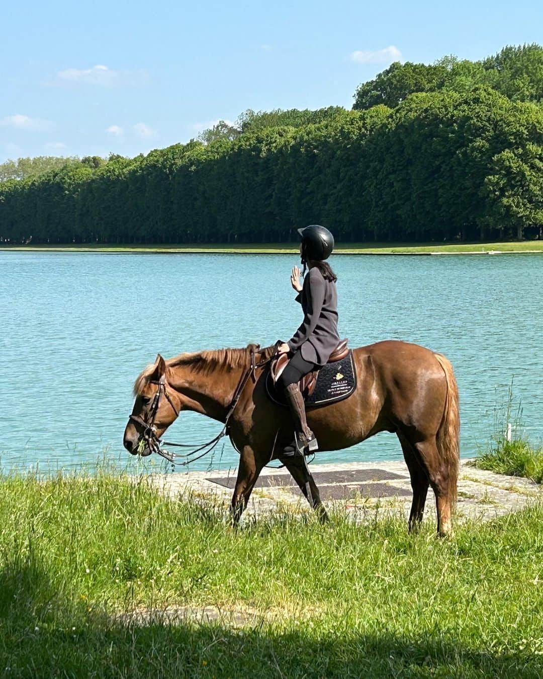 田澤明日香のインスタグラム：「I went for a walk with my horse  in the gardens of the Palace of Versailles🏛️🐴🤍  This time really healed me😌🌱」