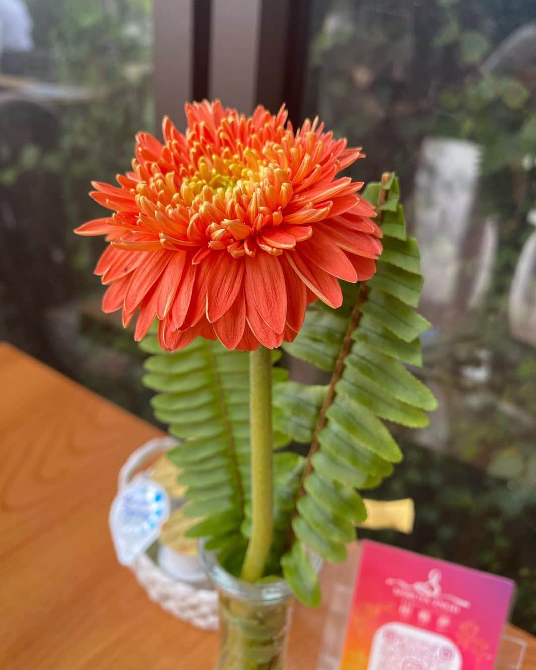上久保慶子のインスタグラム：「#癒し #キレイ #可愛い #カフェ #オーブンカフェ #植物のある暮らし  #素敵な１日をお過ごし下さい  #感謝」