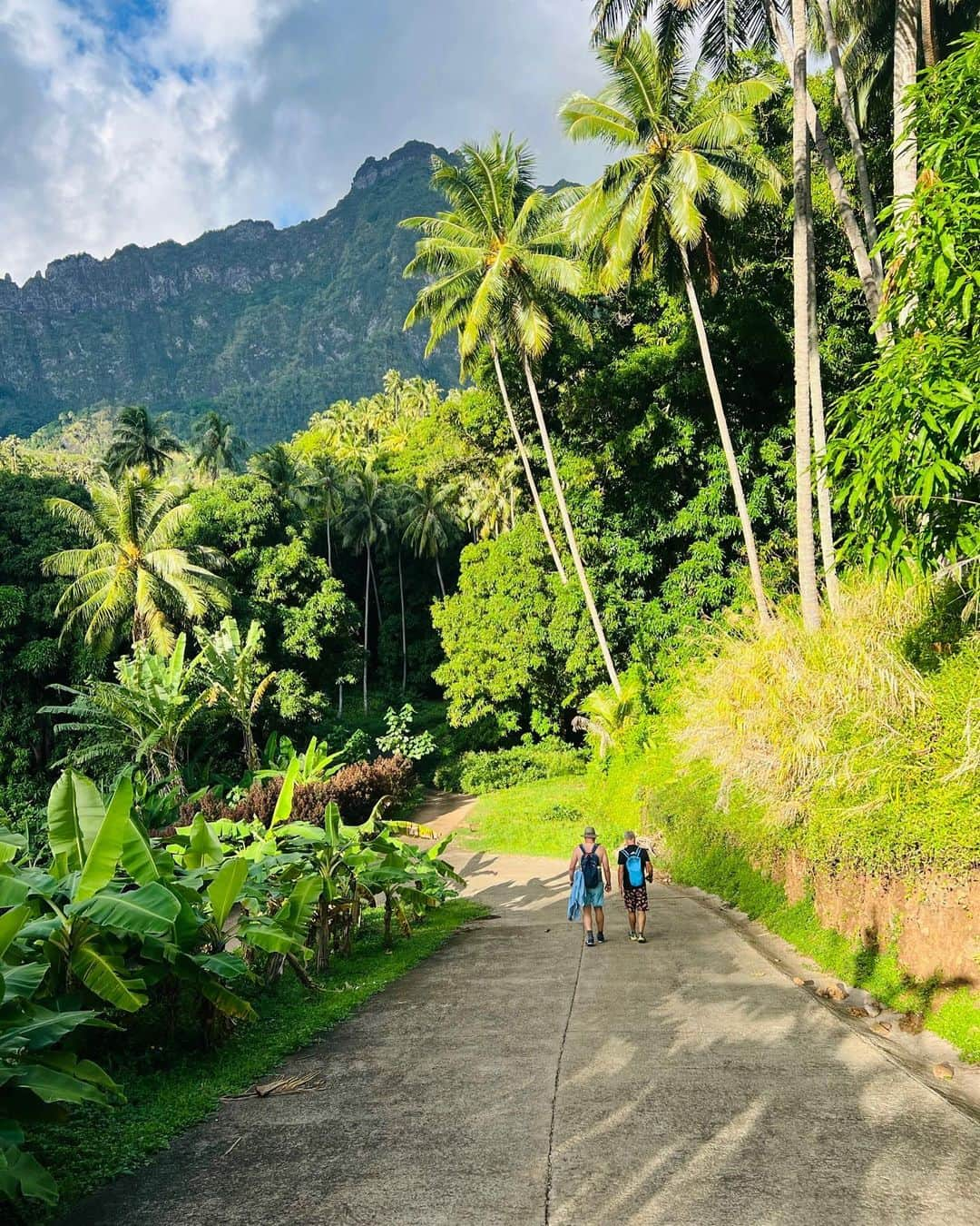 ケイト・ウォルシュさんのインスタグラム写真 - (ケイト・ウォルシュInstagram)「Wild about the wildlife and scenery in the unbeliavable tropical weather of French Polynesia 🐱💛☀️ #lindbladexpeditions #whereiexplore」6月6日 7時57分 - katewalsh