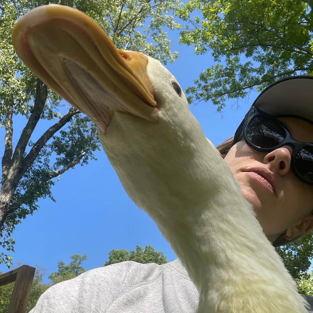 アマンダ・サイフリッドのインスタグラム：「Bird, bird, bird and a surprise Clifford song」