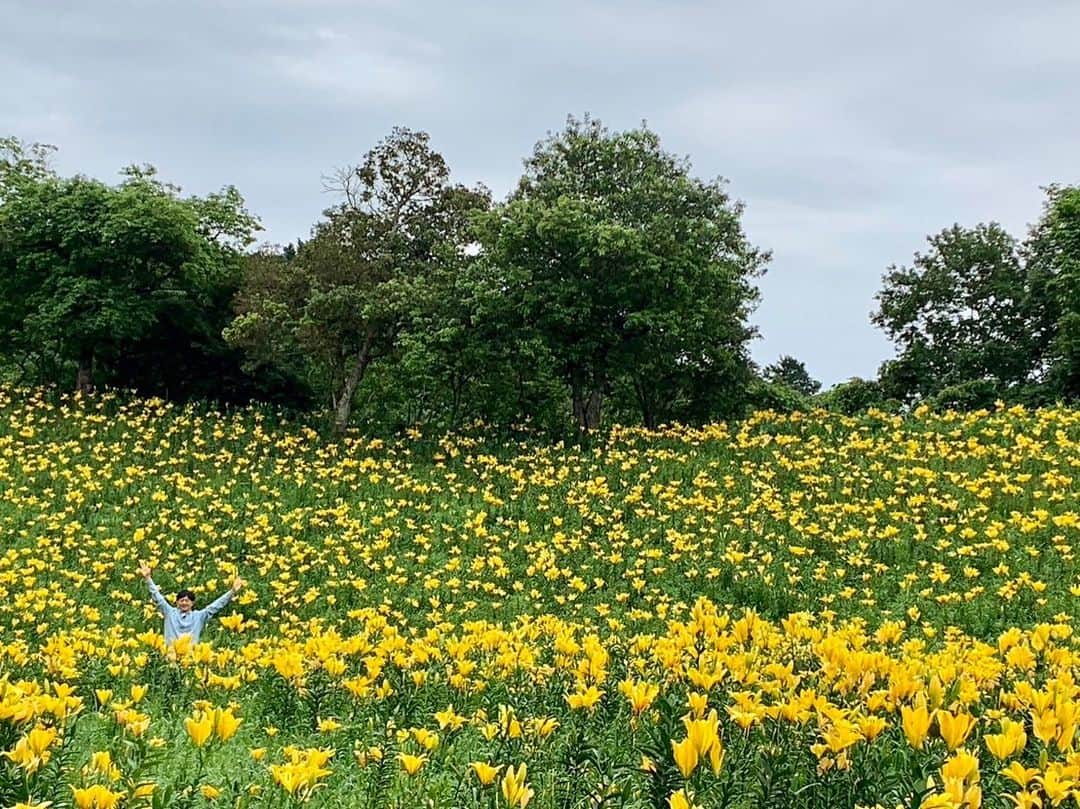 依田司さんのインスタグラム写真 - (依田司Instagram)「6月6日（火） 静岡県袋井市にある『可睡ゆりの園』から。およそ３万坪の広大な敷地に、１５０品種が咲き誇ります。その数、なんと２００万輪！全国でも有数のユリの名所であり、今年で開園４０周年を迎えます。 人気のエリアは黄色一色で統一された丘と５色のユリが咲く丘です。 斜面に咲き誇る姿はまるで絨毯のよう。 また、訪れた際にぜひ味わっておきたいのが「ゆりの天ぷら」です。食用のユリ根を天ぷらにしたもので、甘くてお芋に似た味わいです。お蕎麦と一緒に頂きました。美味しかった。 さらに、去年からアジサイを植え始め、現在、およそ１万株が園内を彩っています。色とりどりで綺麗。 この美しい風景を題材にフォトコンテスト開催中。なんと、40周年記念賞40万円、大賞30万円。もちろん私もエントリーします笑。 7月2日まで開園。  #可睡ゆりの園 #GAP #ギャップ #依田さん #依田司 #お天気検定 #テレビ朝日 #グッドモーニング #気象予報士 #お天気キャスター #森林インストラクター #グリーンセイバーアドバンス #プロジェクトワイルド #IPCC伝導者 #japan #japantrip #japantravel #unknownjapan #japanAdventure #japanlife #lifeinjapan #instagramjapan #instajapan #療癒 #ilovejapan #weather #weathercaster #weatherforecast」6月6日 8時44分 - tsukasa_yoda