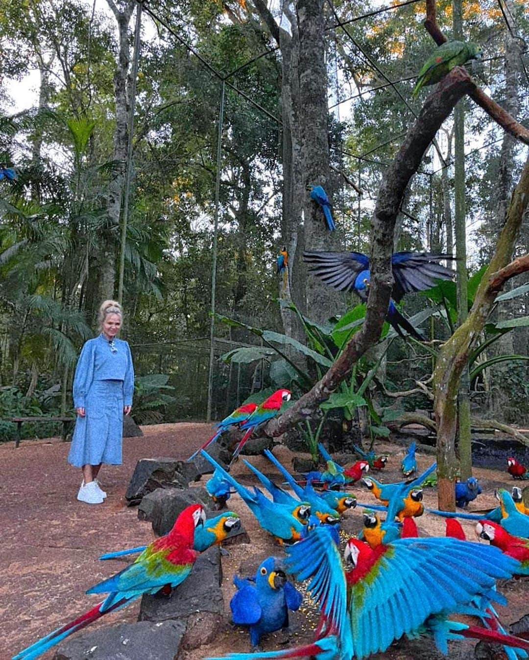 Eliana Michaelichin Bezerraさんのインスタグラム写真 - (Eliana Michaelichin BezerraInstagram)「Já com muita saudade de vcs🤍  Obrigada aos amigos do @wishresorts e @visit.iguassu por acolherem minha família com tanto amor.   Continuo gravando por aqui. Tá ficando demais o nosso programa. Em breve eu conto quando for passar.  #mariapassanafrente」6月6日 9時53分 - eliana